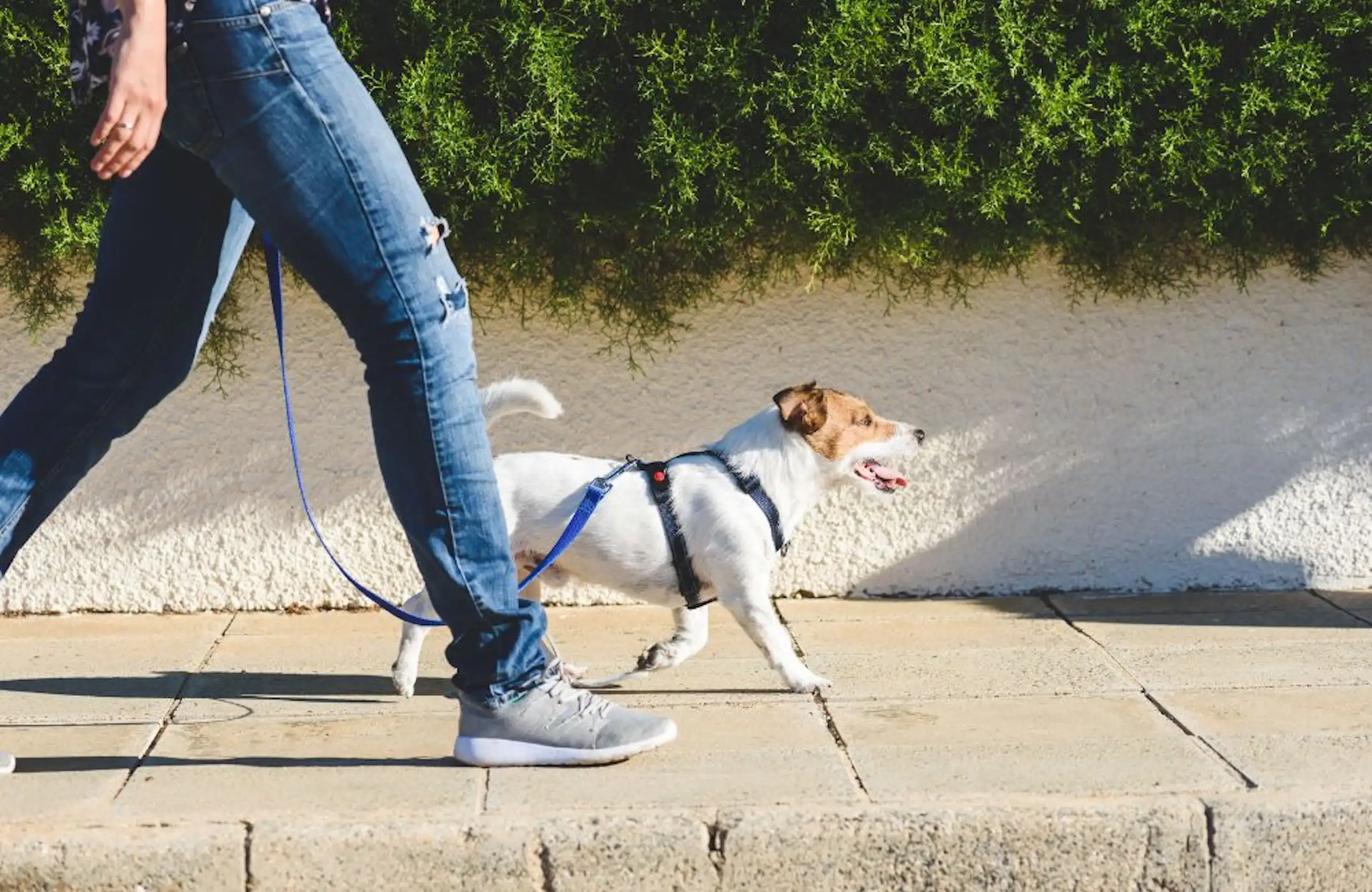 How walking can boost your mental health