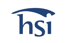 HSI