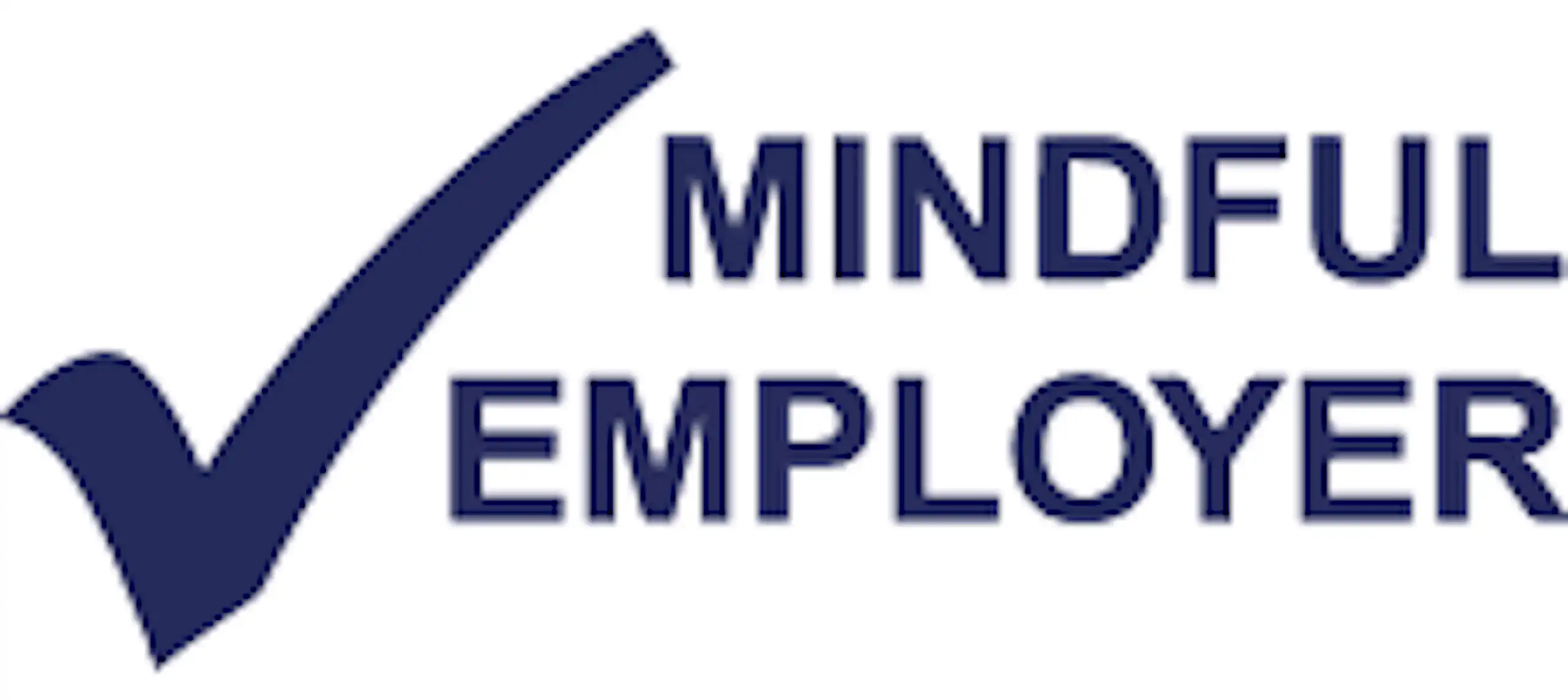 Mindful Employer