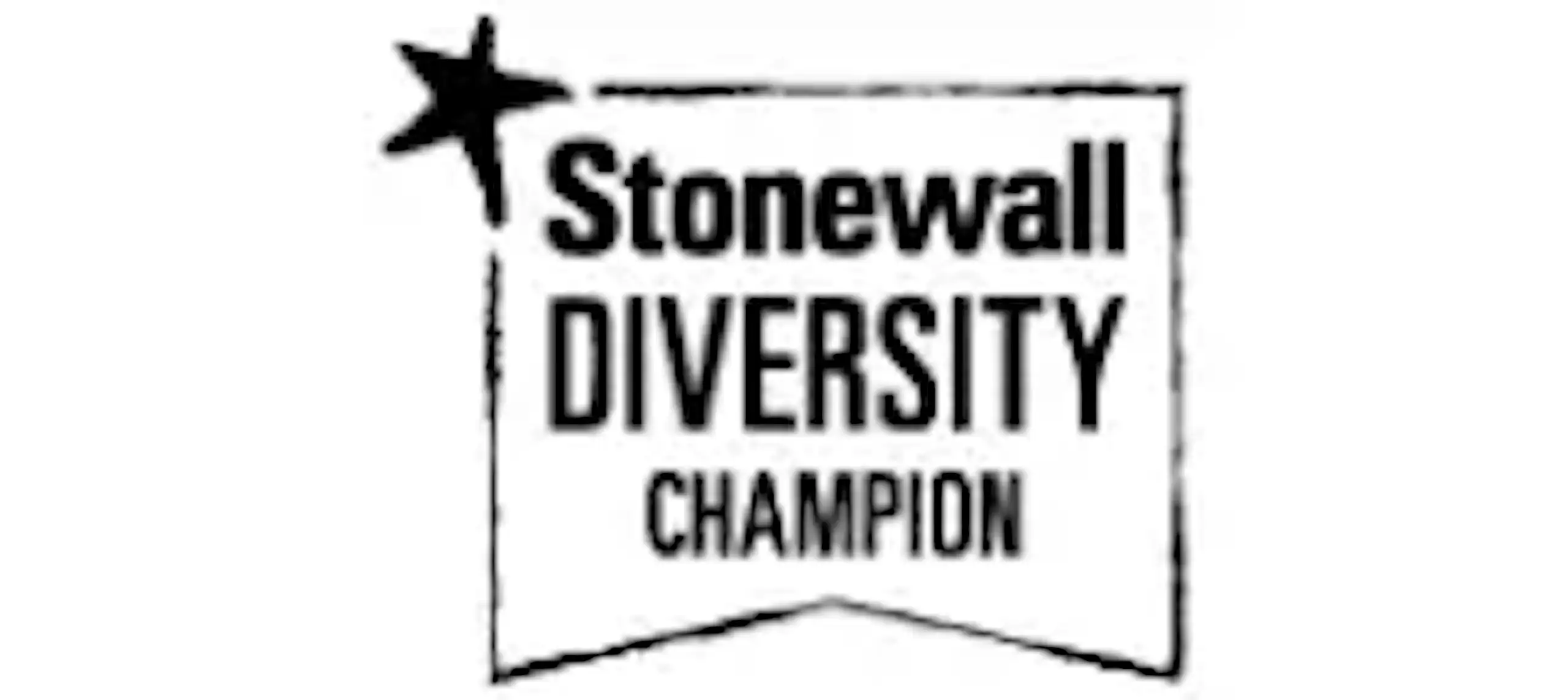 Stonewall Diversity Champion