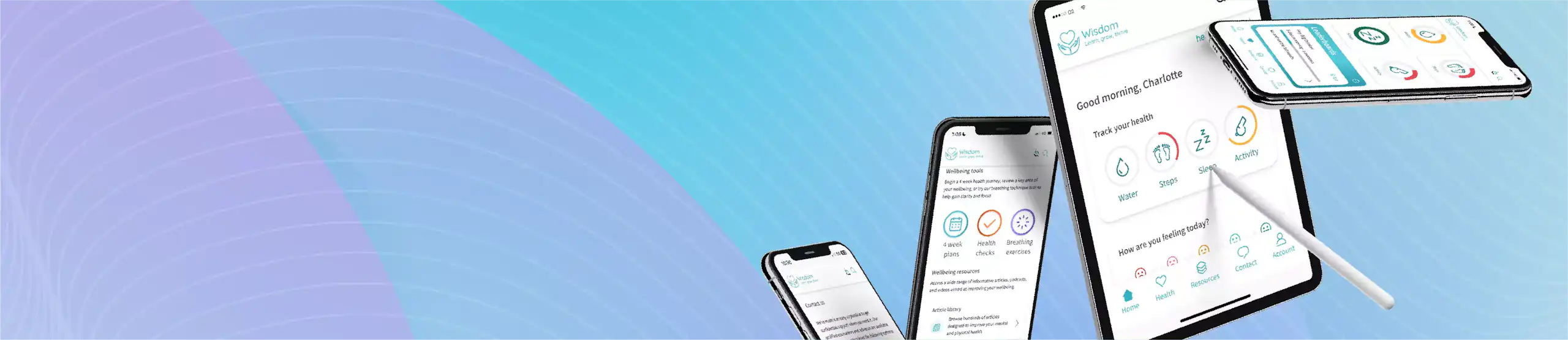 Wisdom Wellbeing Wisdom Wellbeing