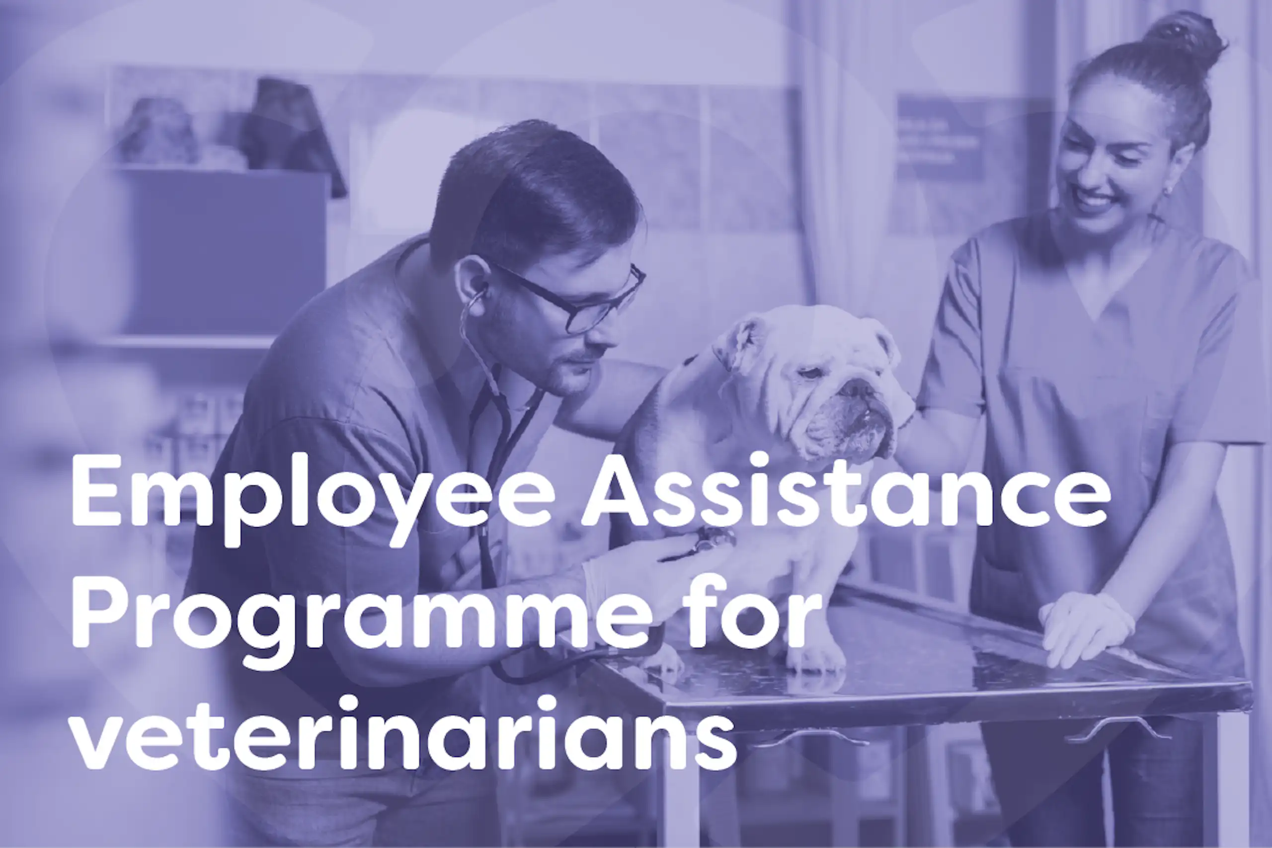 Mental Health Support Programme for Mental Health Support for Veterinarians