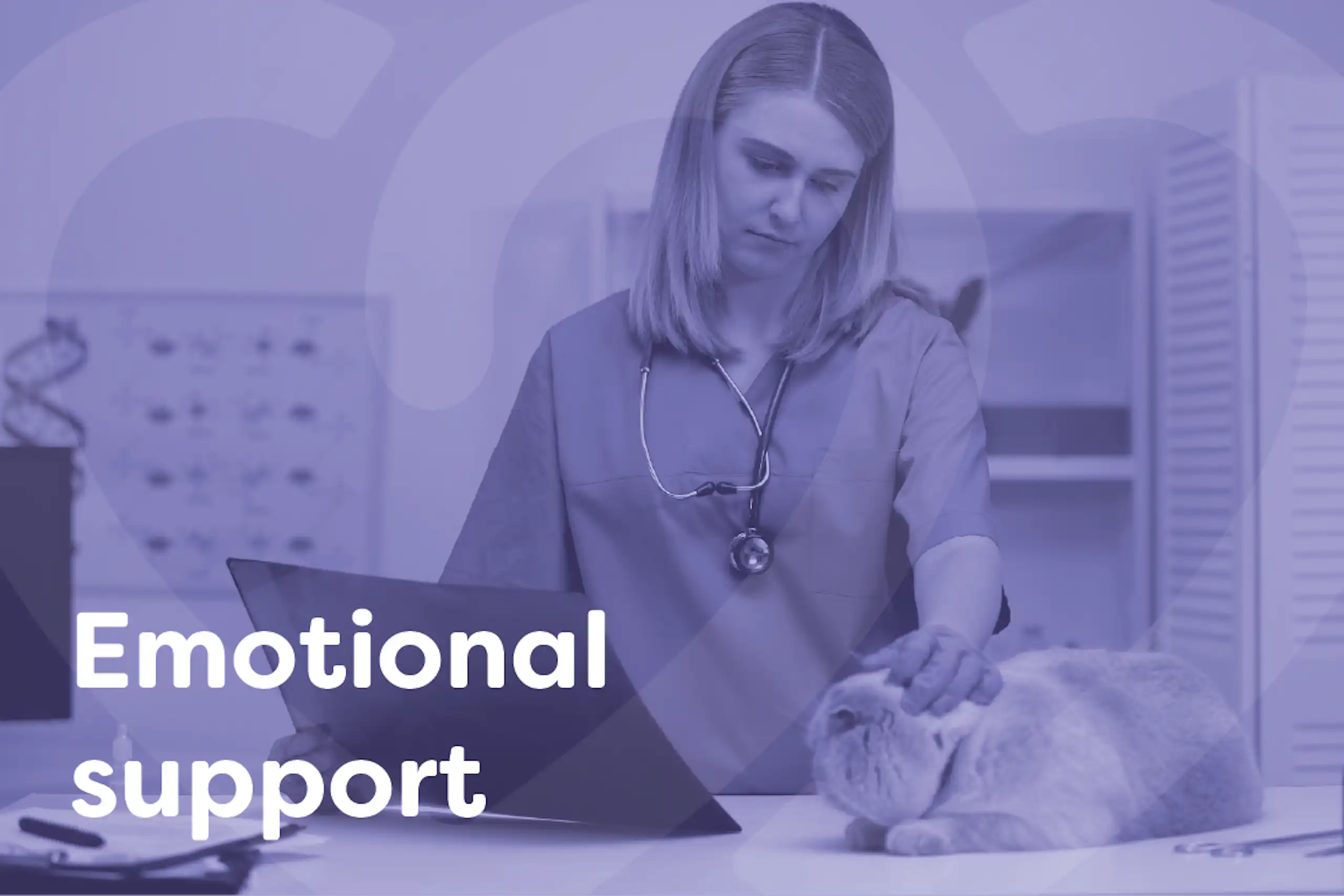 Emotional support for veterinarians
