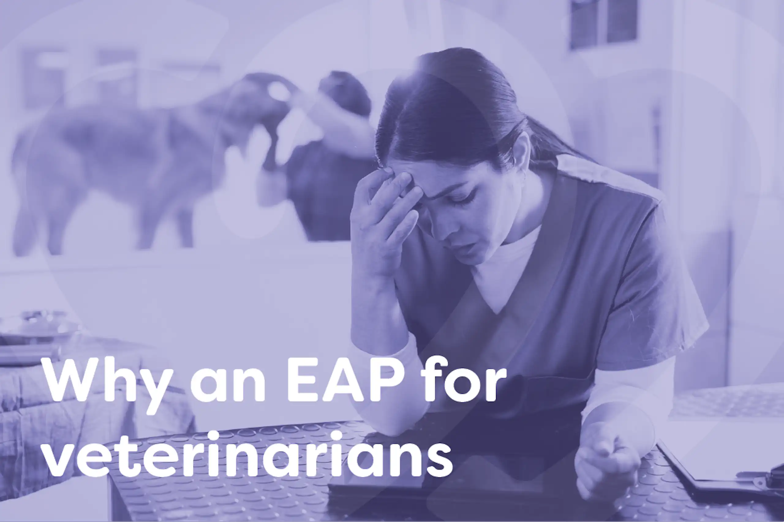 EAP mental health counselling for veterinarians