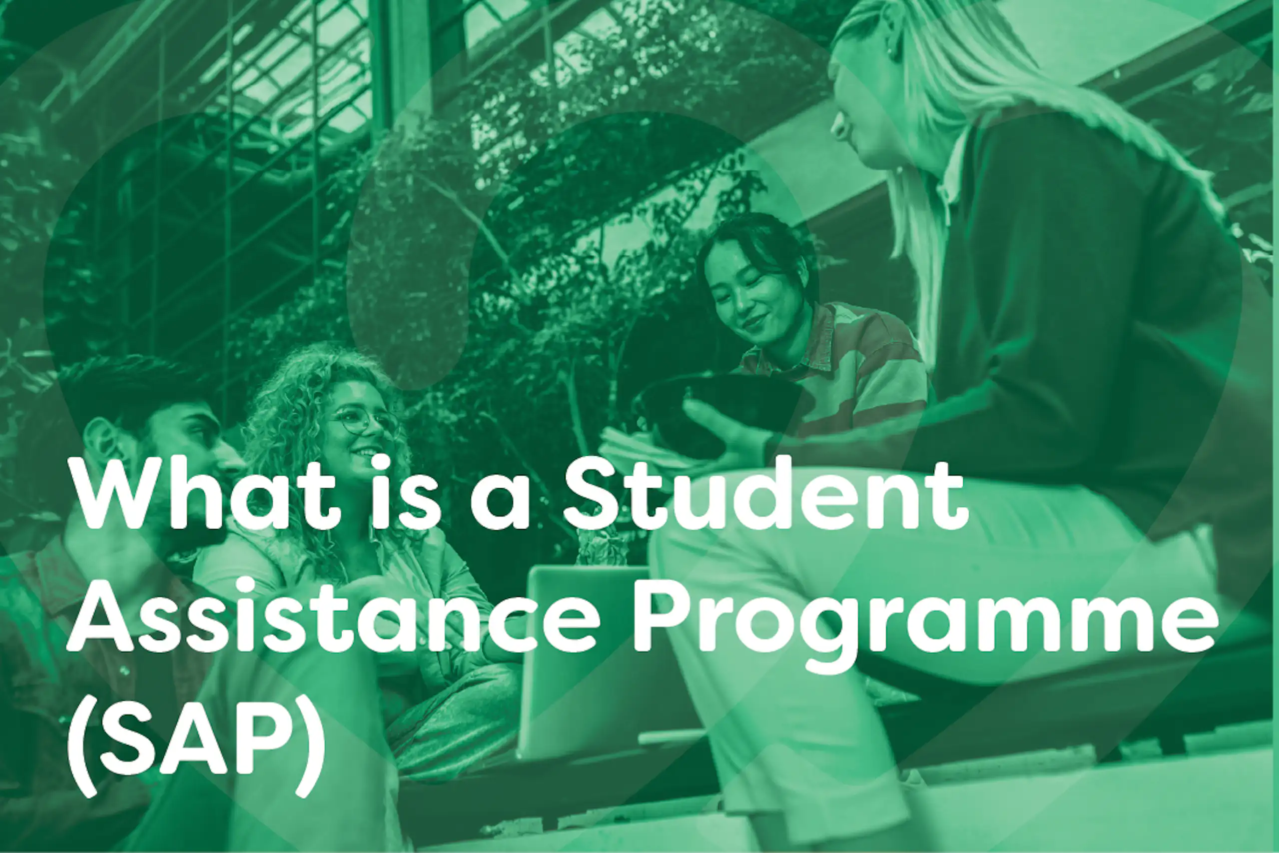 What is a Student Assistance Programme
