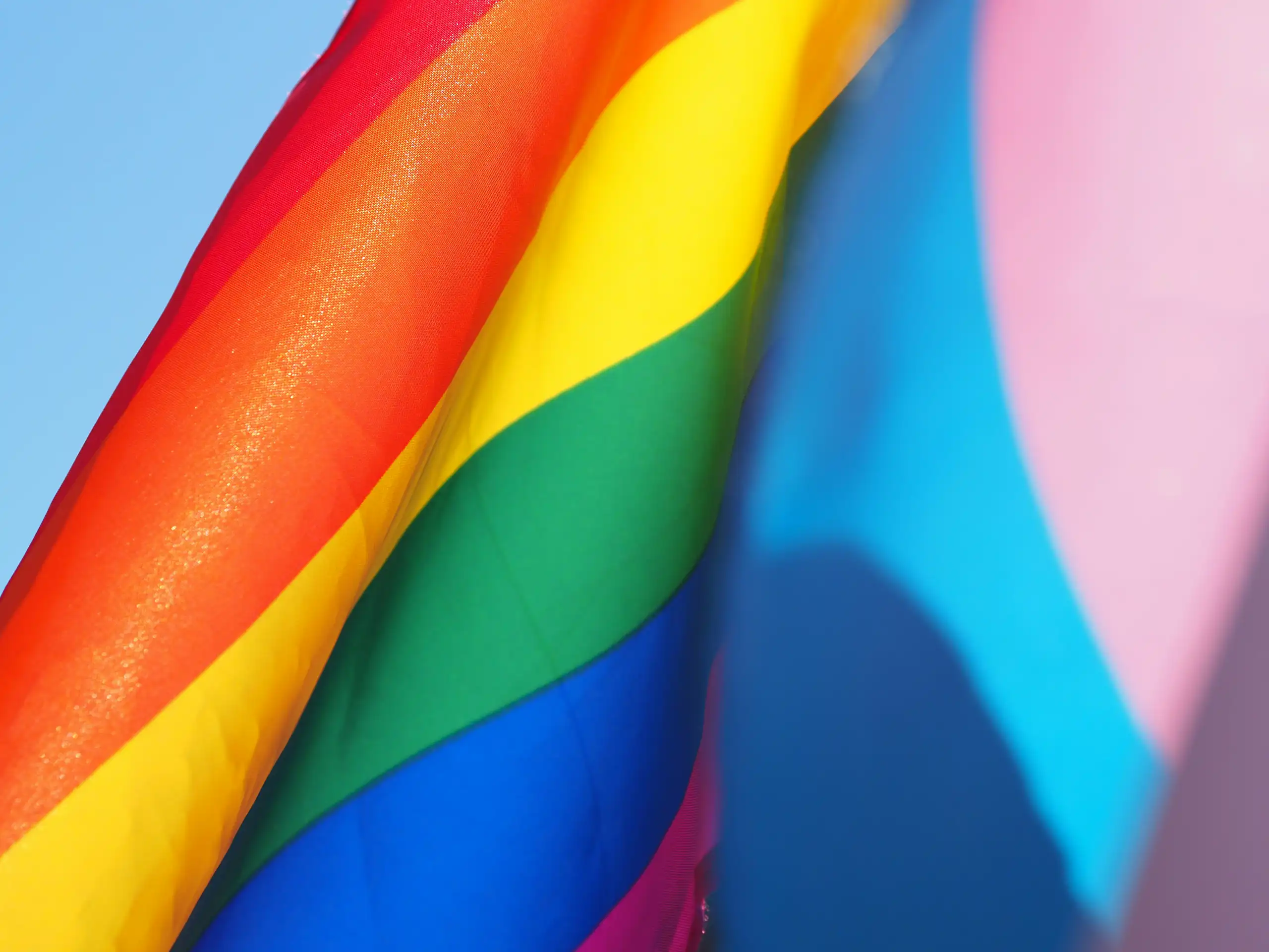 Winter Pride in Aotearoa