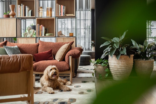 Pet Friendly - Home Richmond - Melbourne - Urban Rest