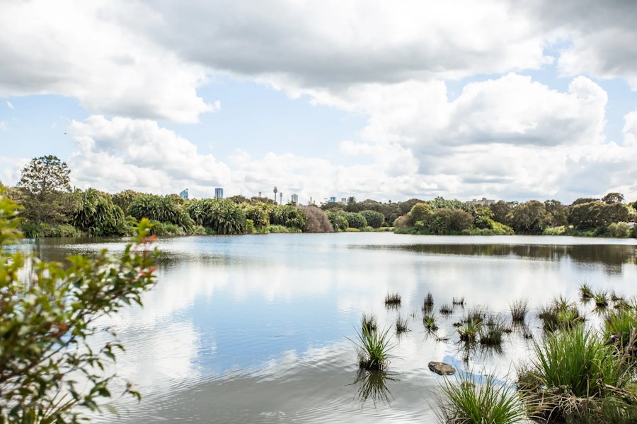 centennial park randwick best things to do urban rest