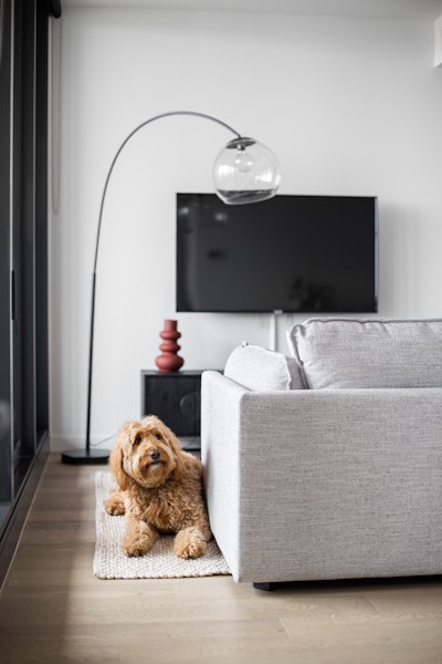 Urban Rest Serviced Apartments Pet Friendly Accommodation Sydney Business Travel Relocation