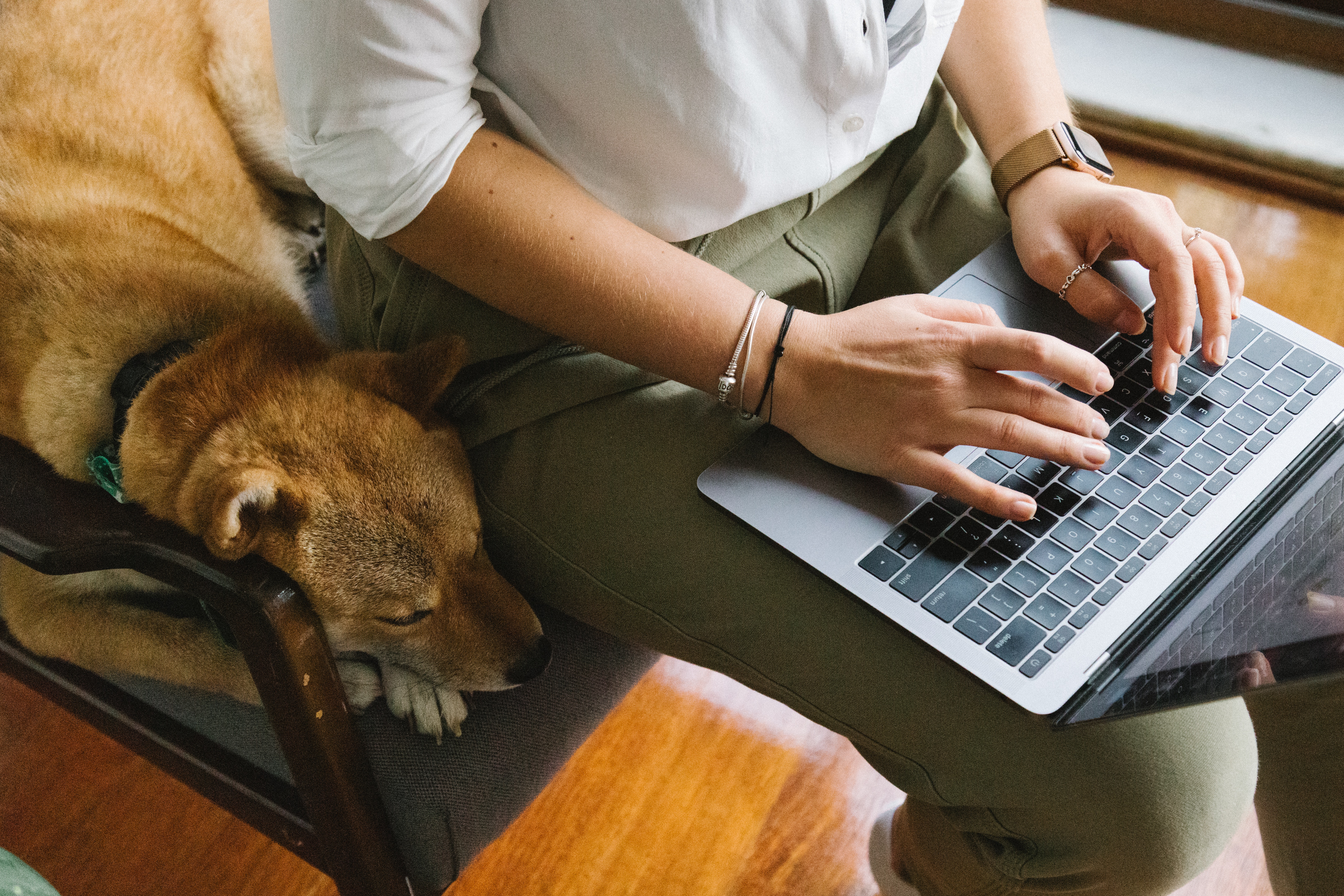 Pet Friendly Accommodation Adelaide Urban Rest Serviced Apartments