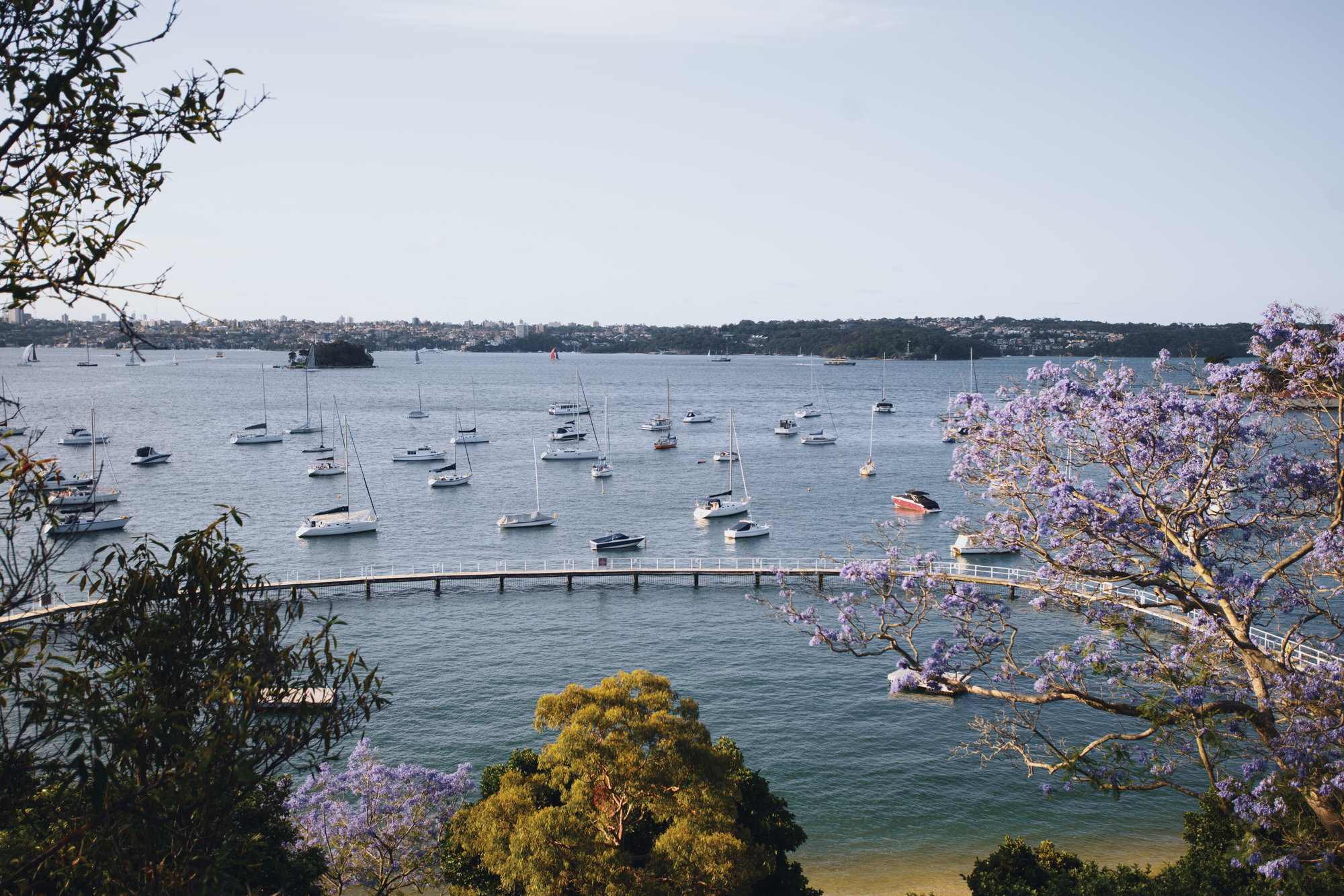 Double Bay, Redleaf Beach, Sydney, Australia
