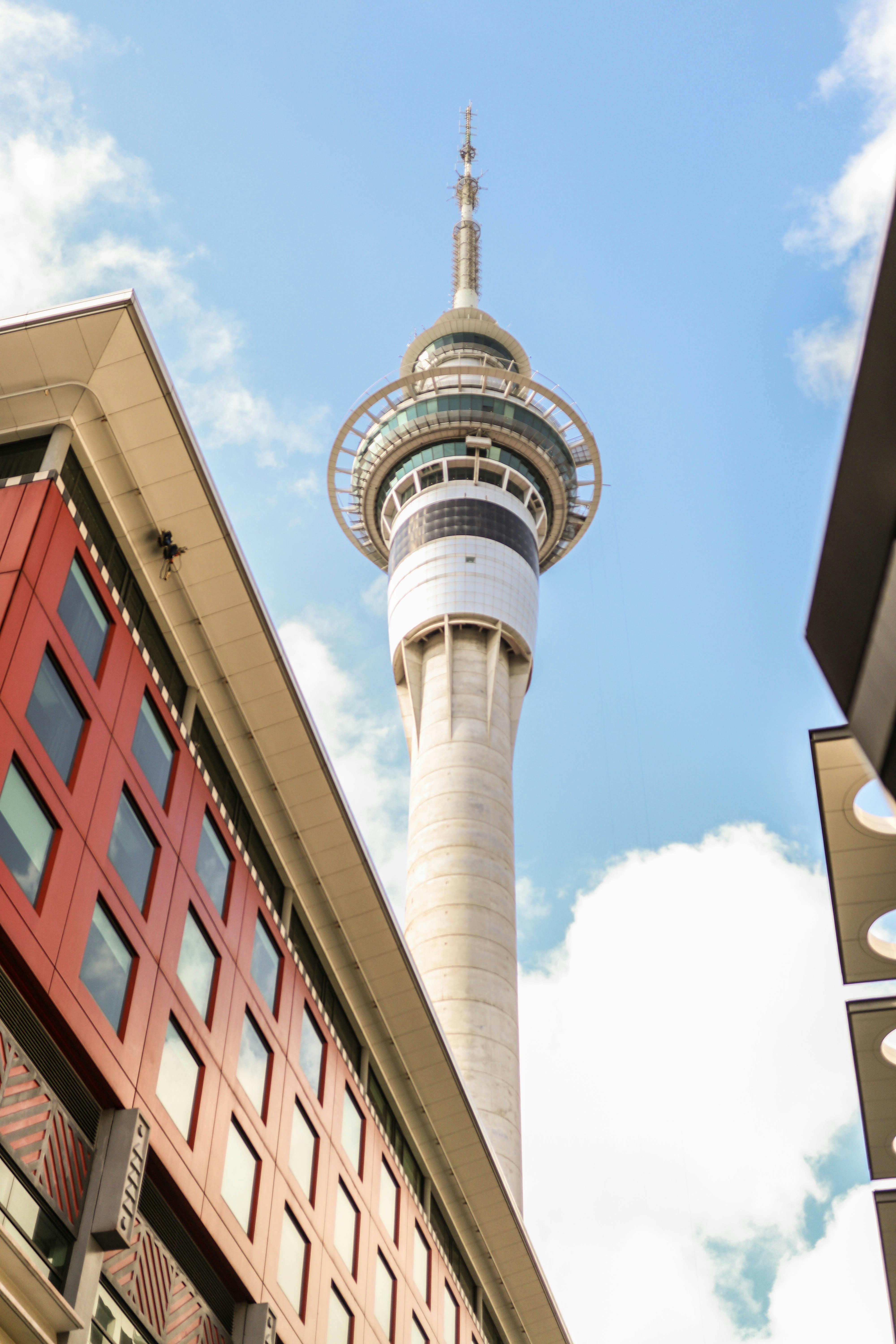 Sky Tower For Best Things To Do In Auckland CBD