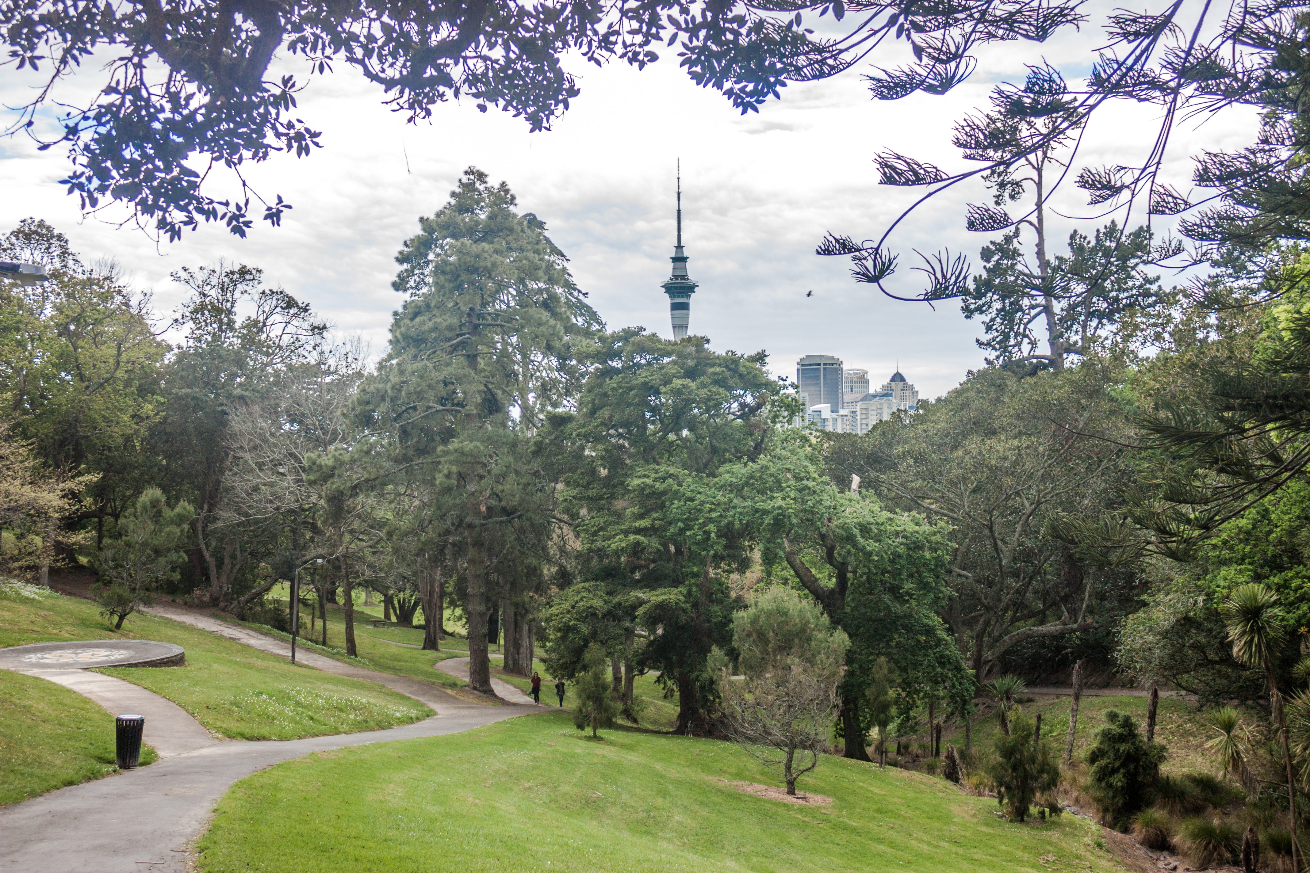 Best Things To Do in Freemans Bay, Auckland