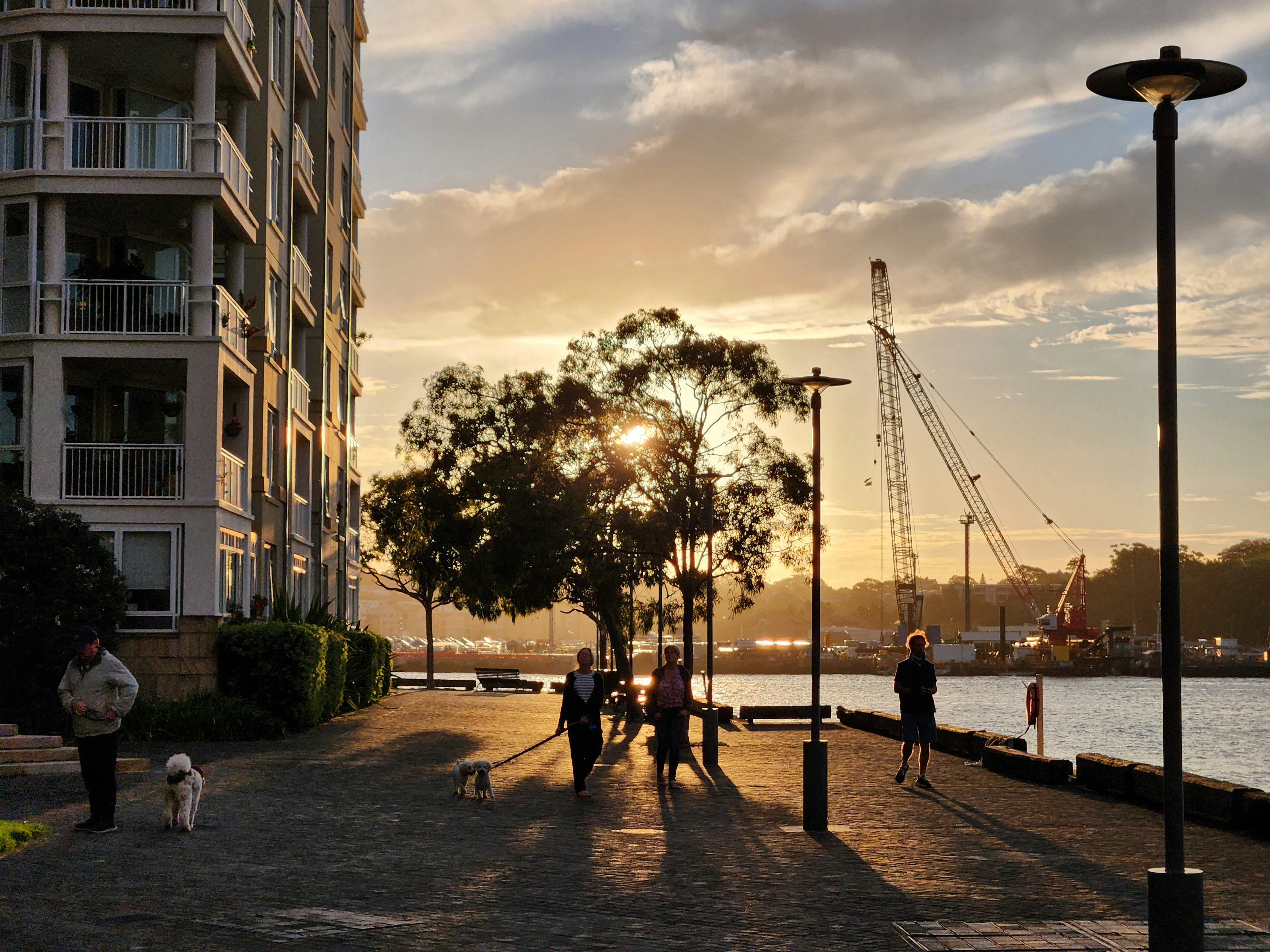 Best Things to Do, Urban Rest Pyrmont, Sydney