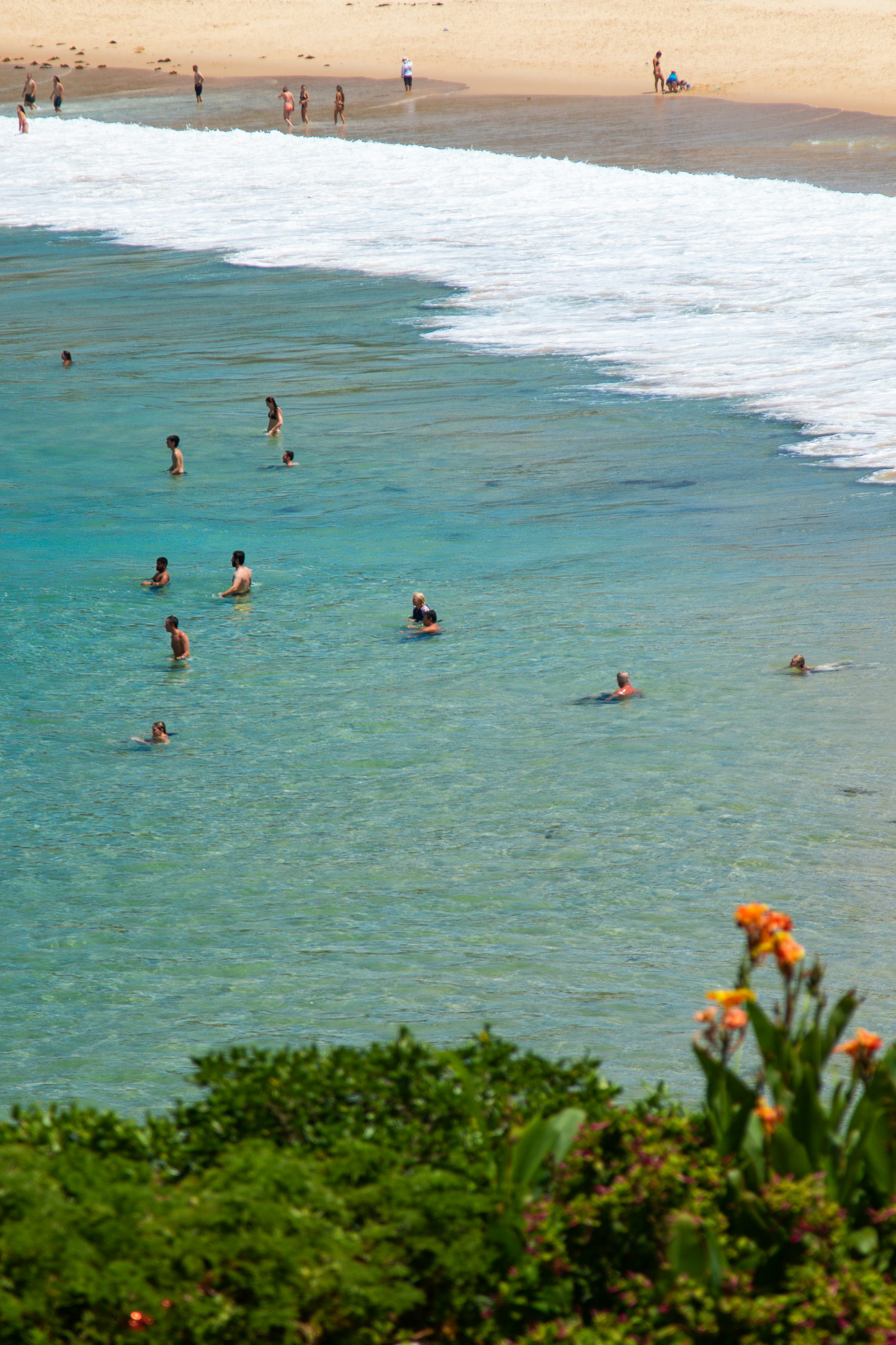 Swimming at Bondi Beach - Best Things to Do in Bondi, Sydney