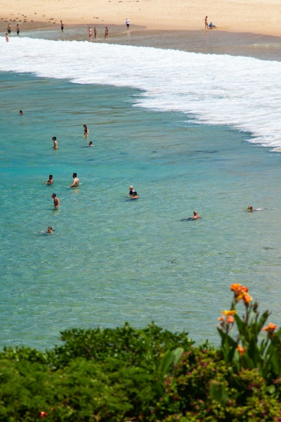Swimming at Bondi Beach - Best Things to Do in Bondi, Sydney