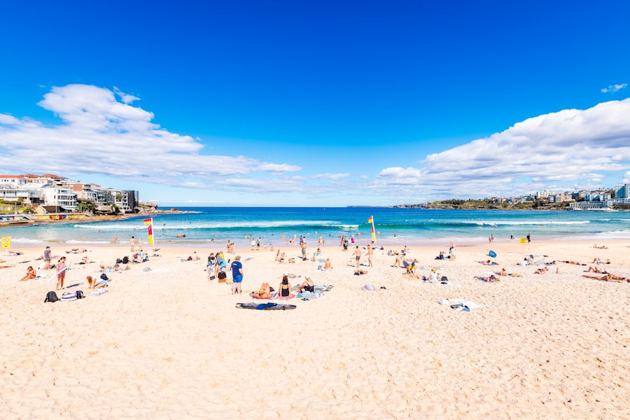 Swimming in the Flags - Bondi Beach, Sydney