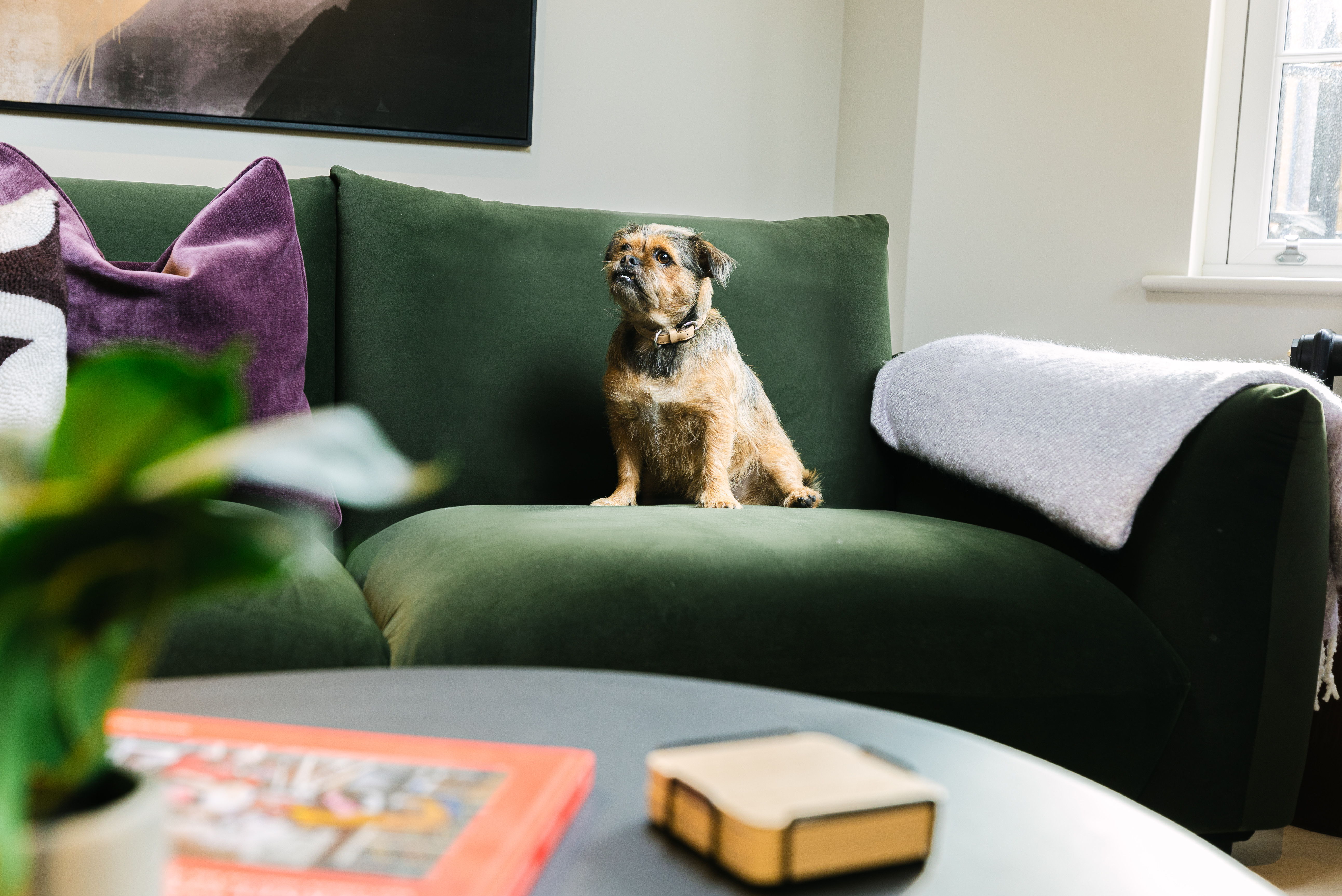 Living Room - Pet Friendly - Urban Rest Hackney - London