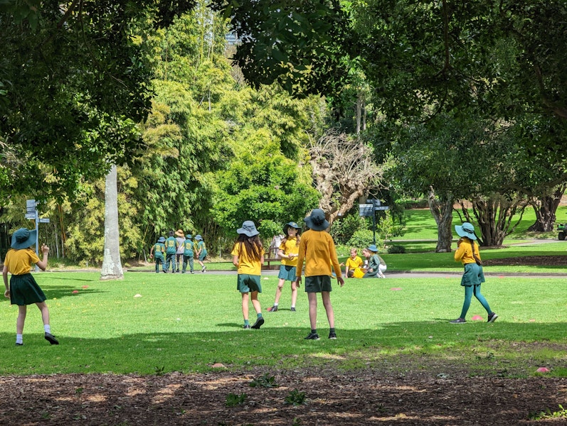 Primary Education, Sydney, Australia