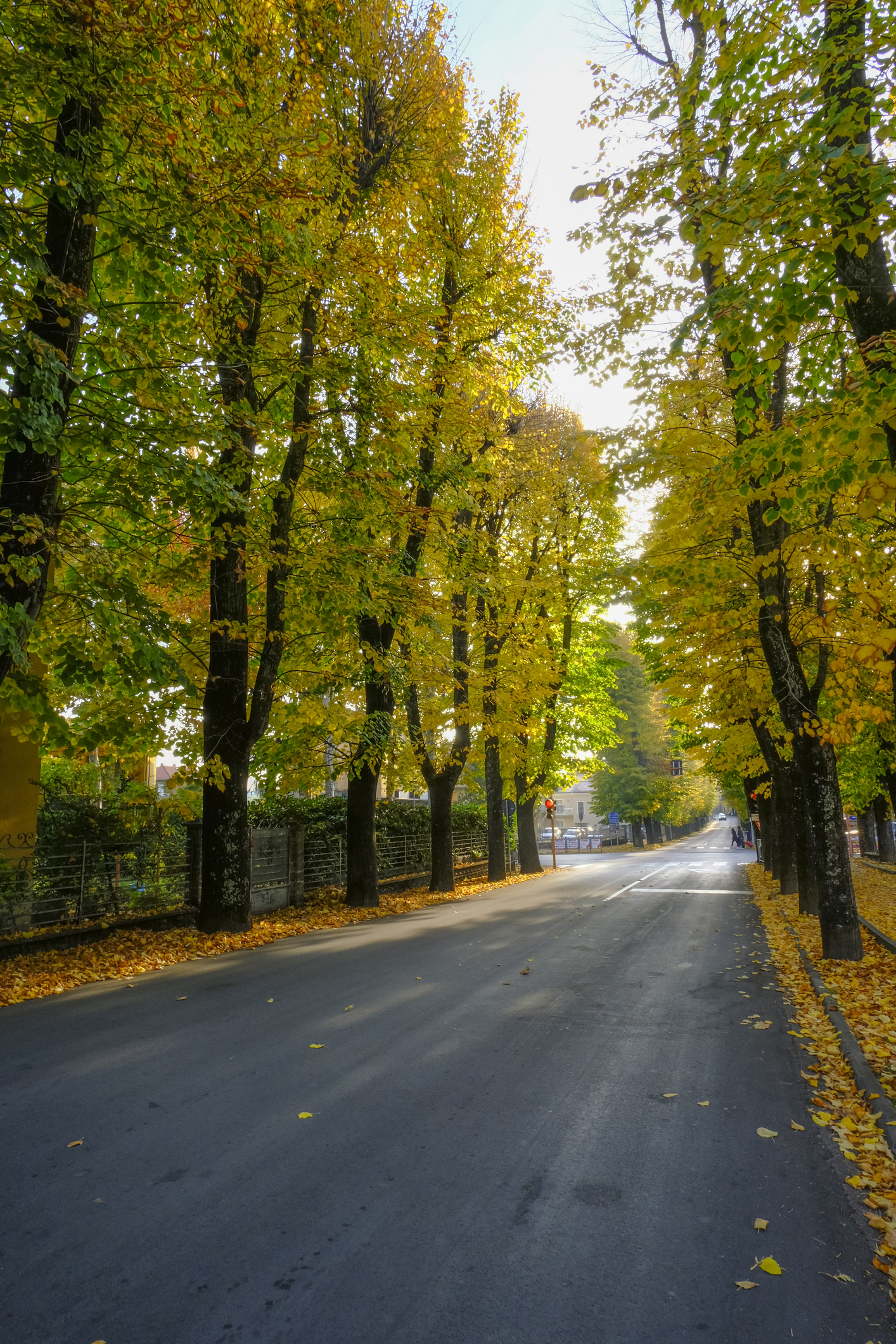 Toorak, Melbourne - Urban Rest