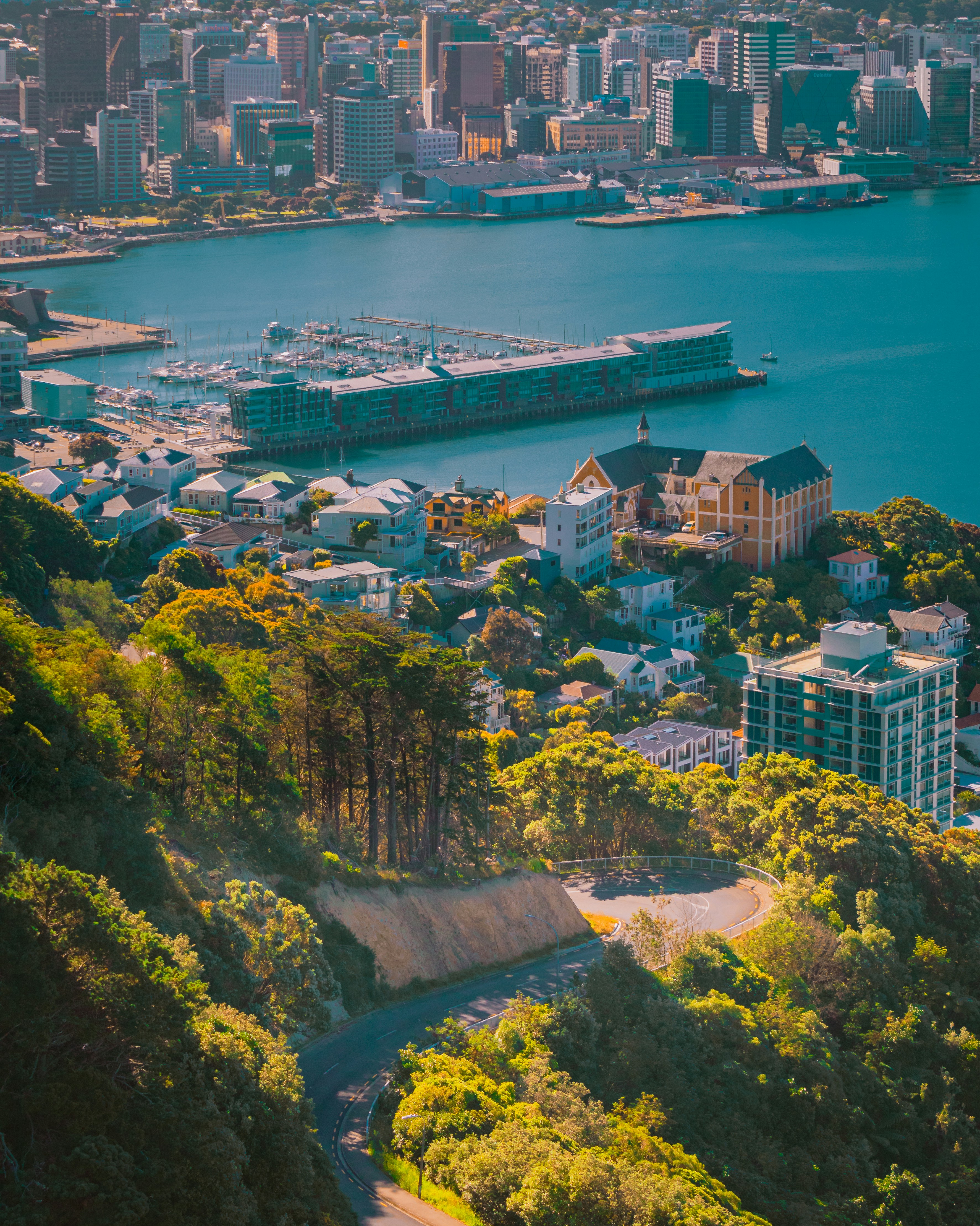 Wellington, New Zealand - Urban Rest