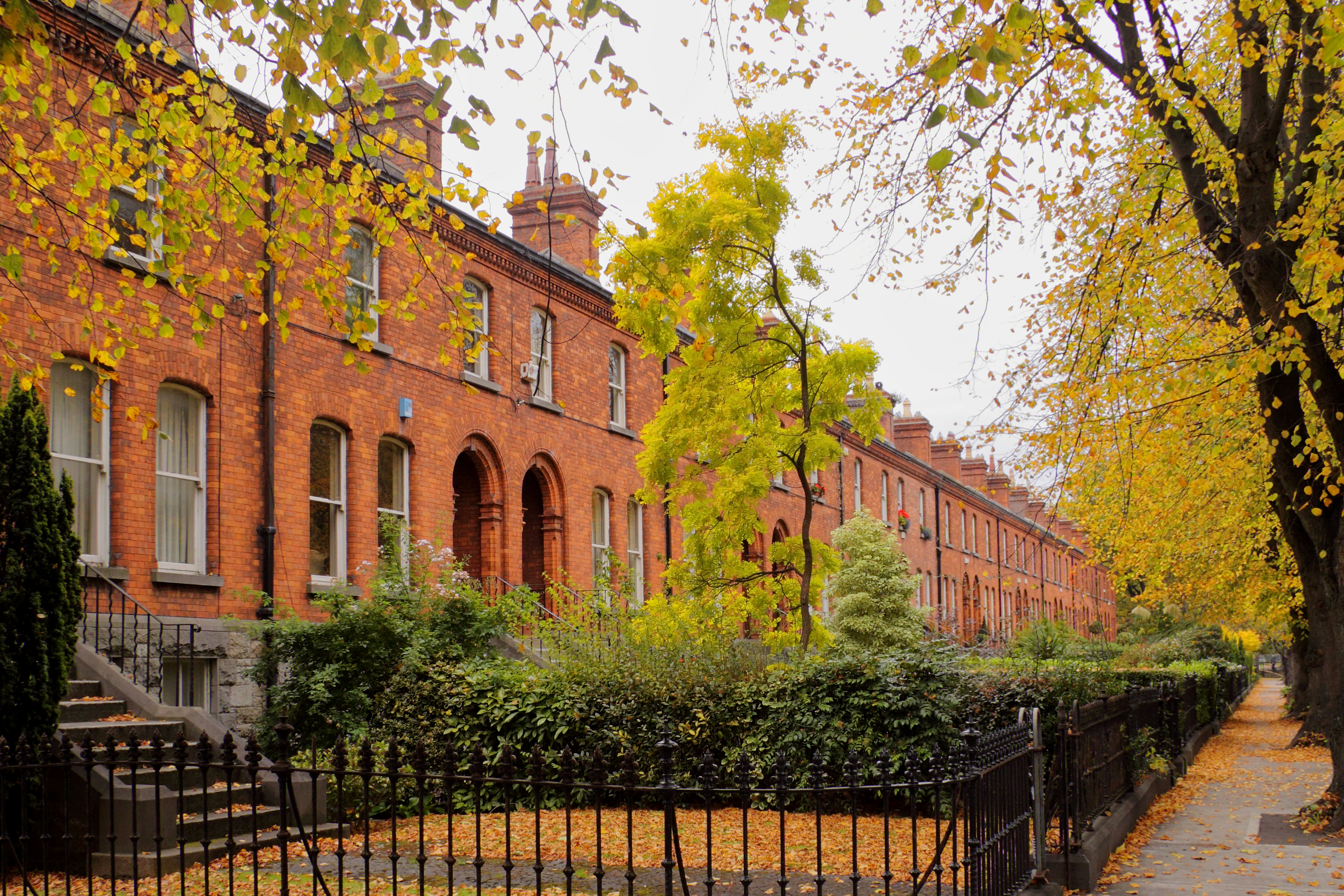 Griffith Avenue, Dublin - Urban Rest