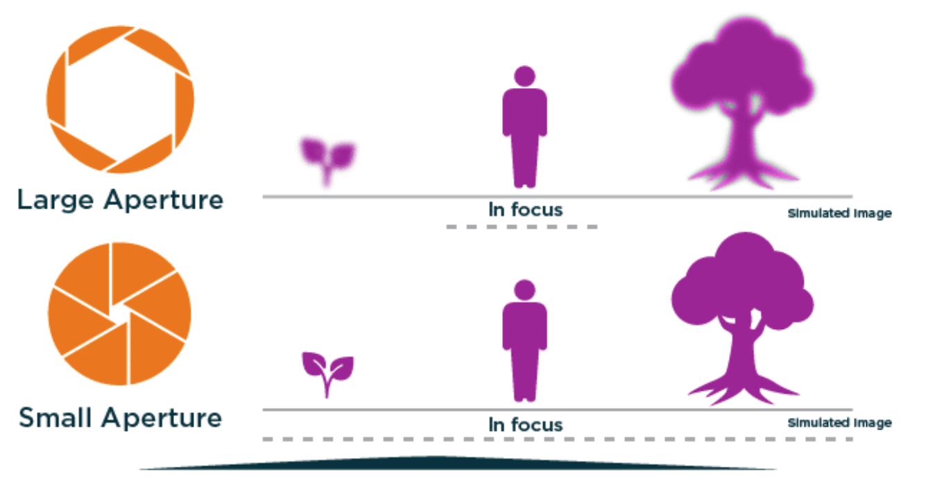 Eyesight diagram