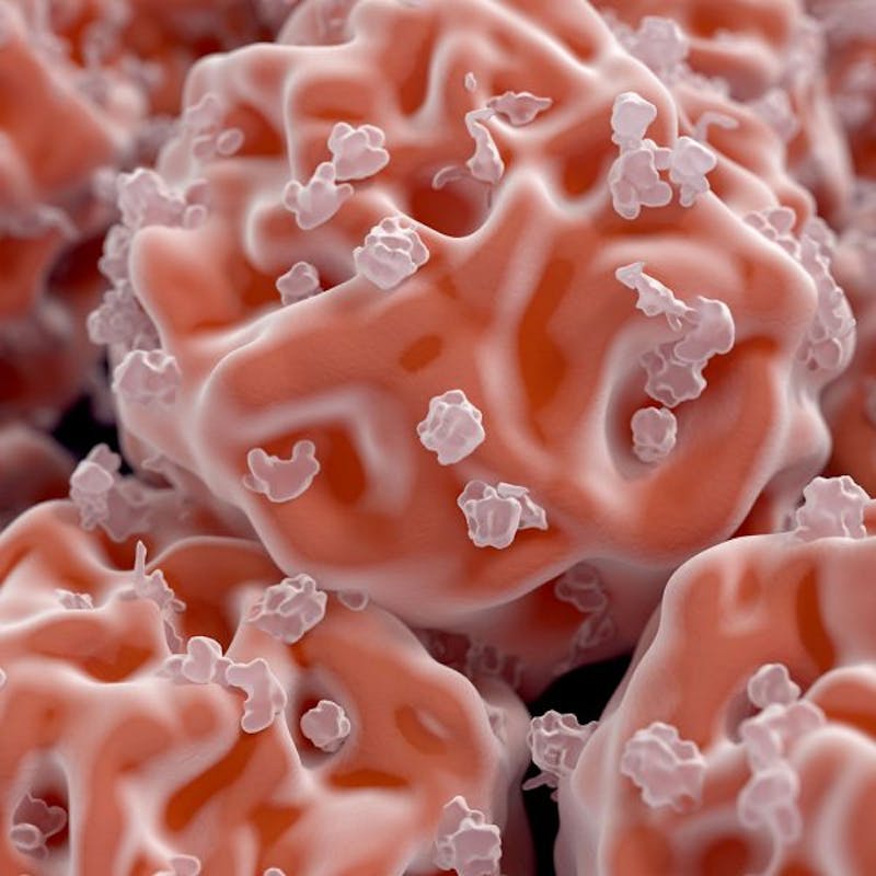 graphic of microscopic blood particles