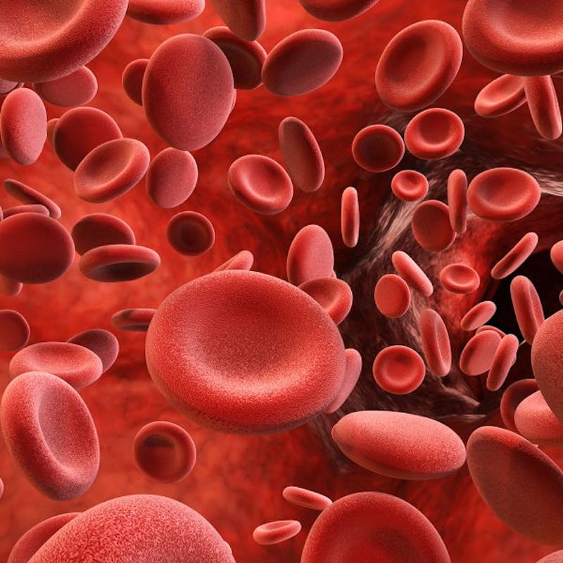 blood cells in a vein with red blood flowing through them