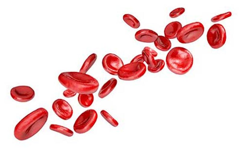 red blood cells are scattered on a white surface