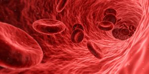 red blood cells traveling through vein