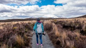 person walking on trail through field