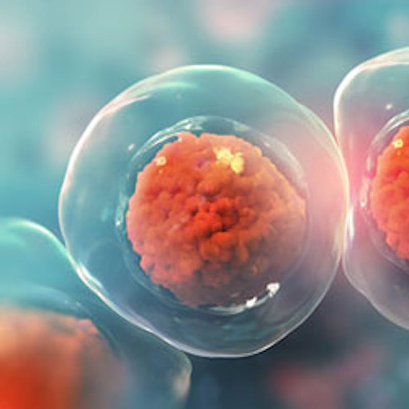 cell graphic image  #2