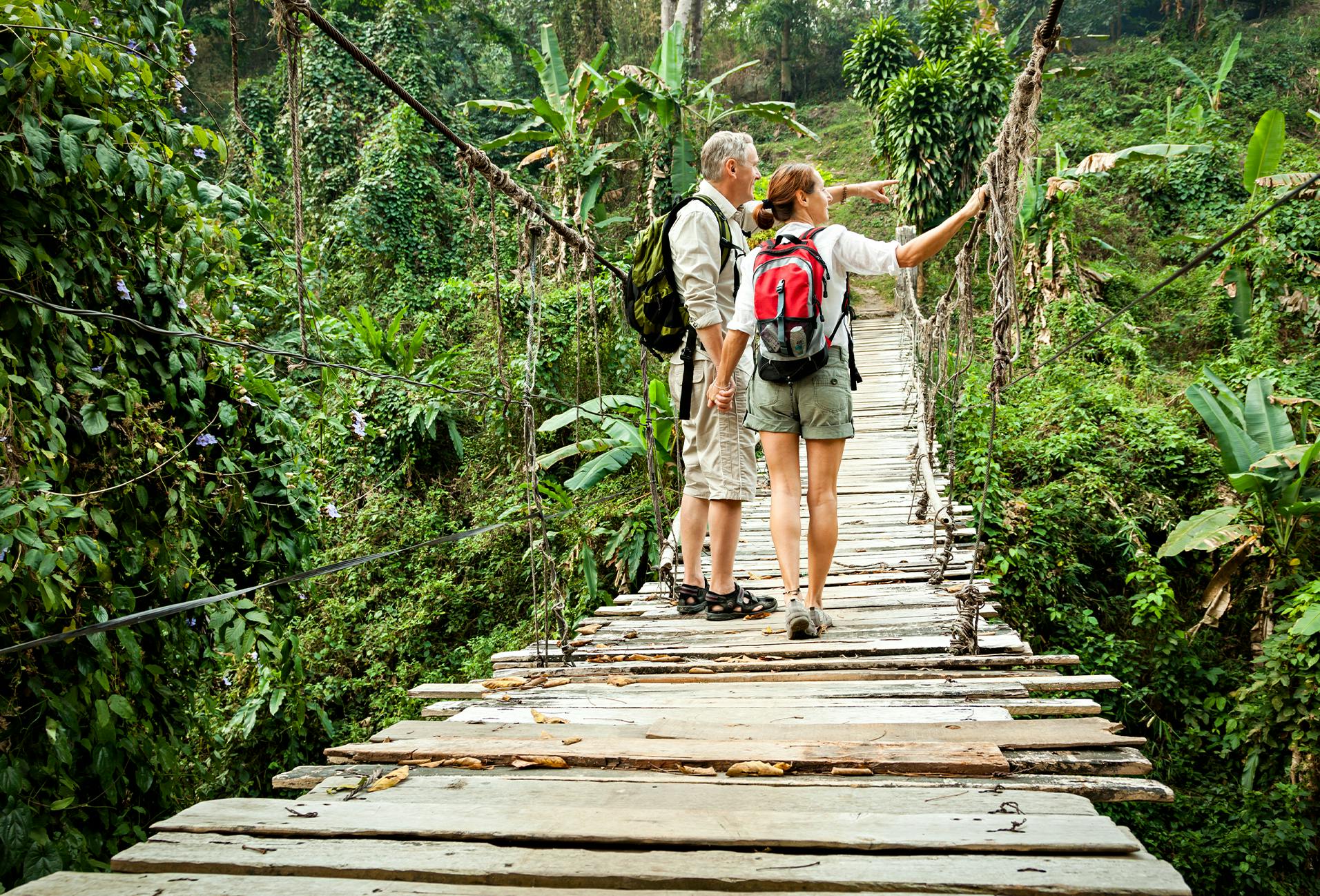 there are two people walking on a wooden bridge in the woods