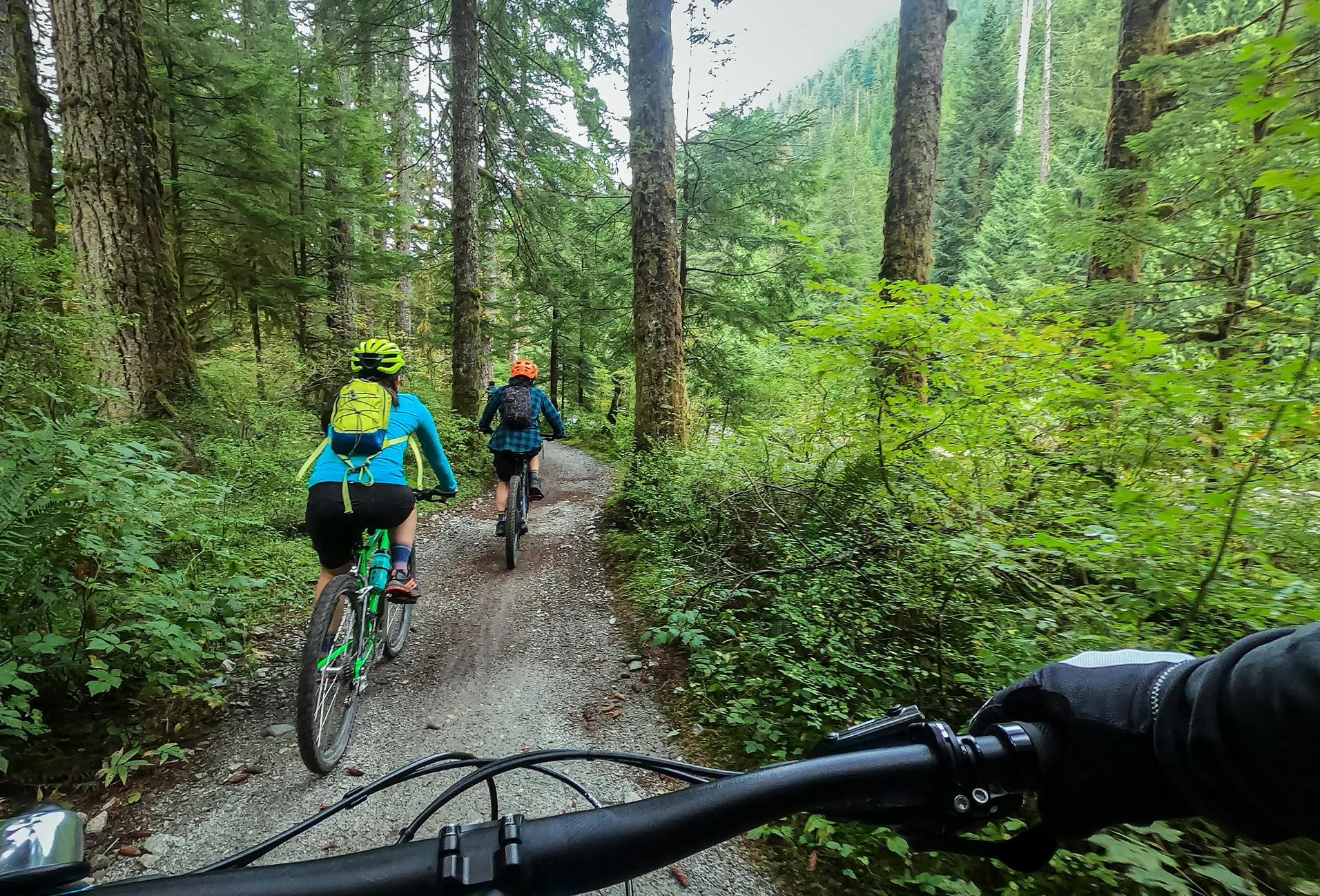 there are two people riding bikes on a trail in the woods