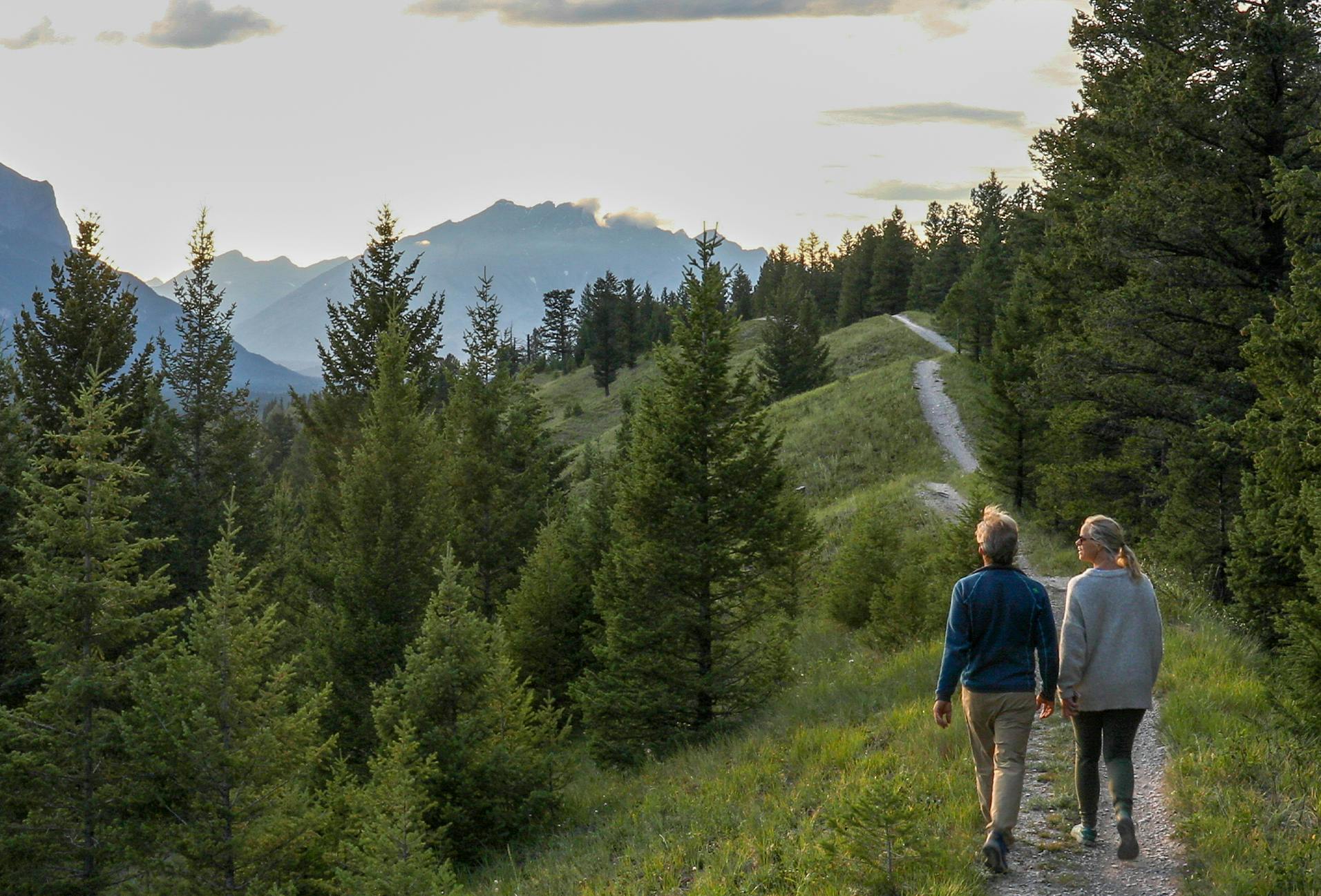 there are two people walking down a path in the woods