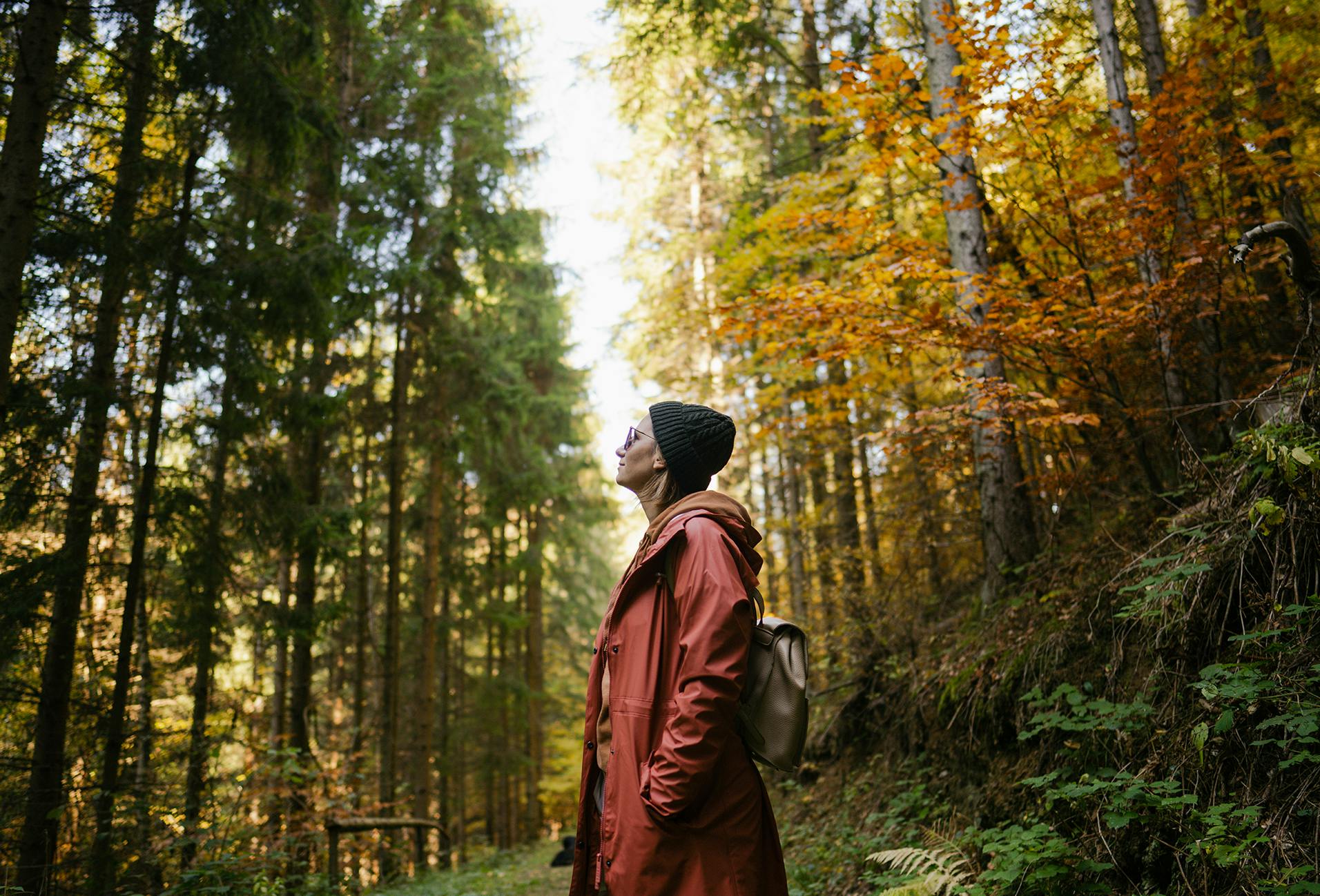 there is a man standing in the woods looking up at the sky