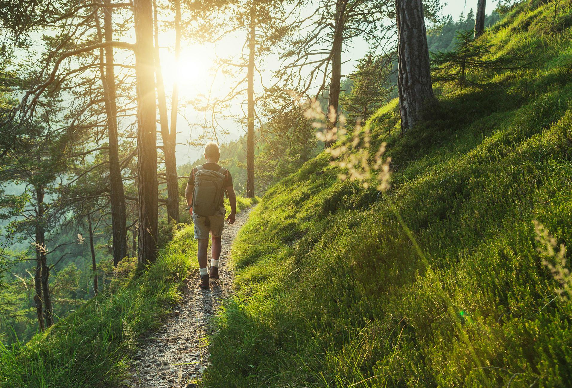 walking on a trail in the woods with the sun shining through the trees