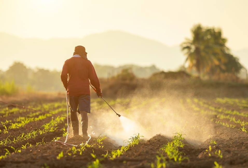 Person spraying crops