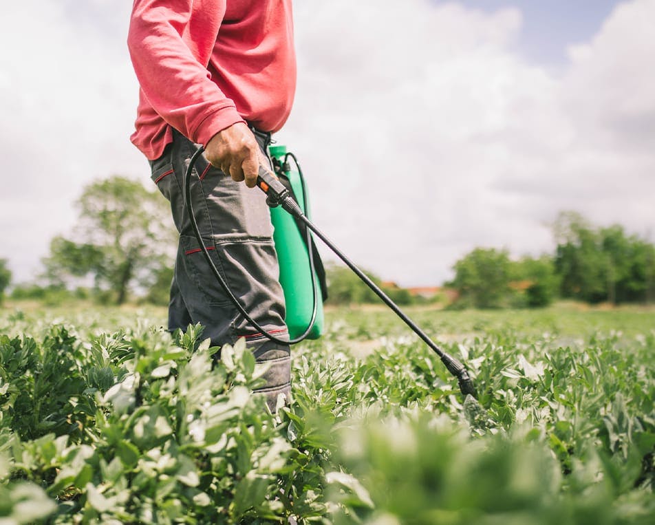 Person spraying crops