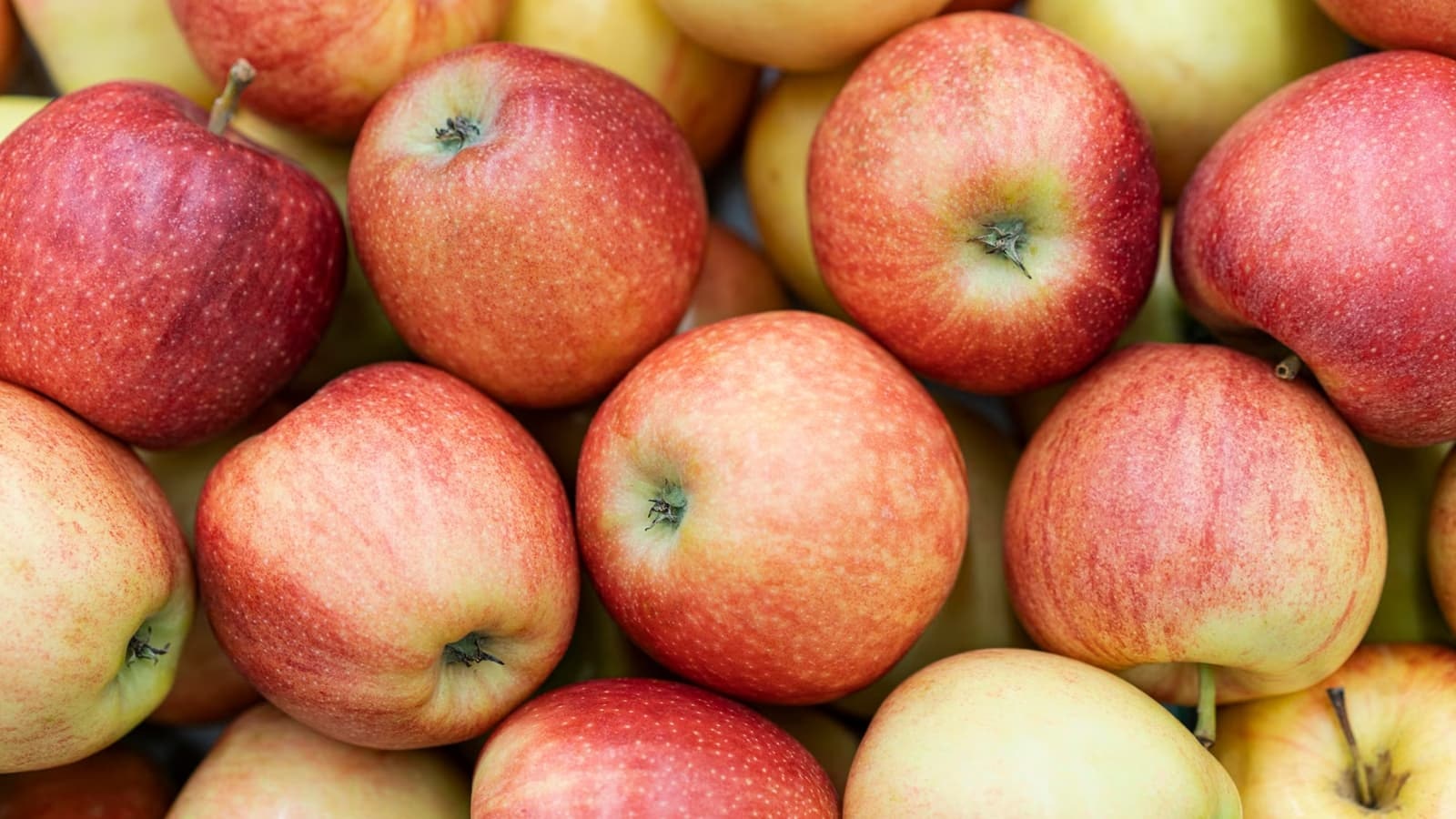 Wie gesund sind Äpfel? Bild, auf dem mehrere Äpfel zu sehen sind, welche sehr gesund sind.