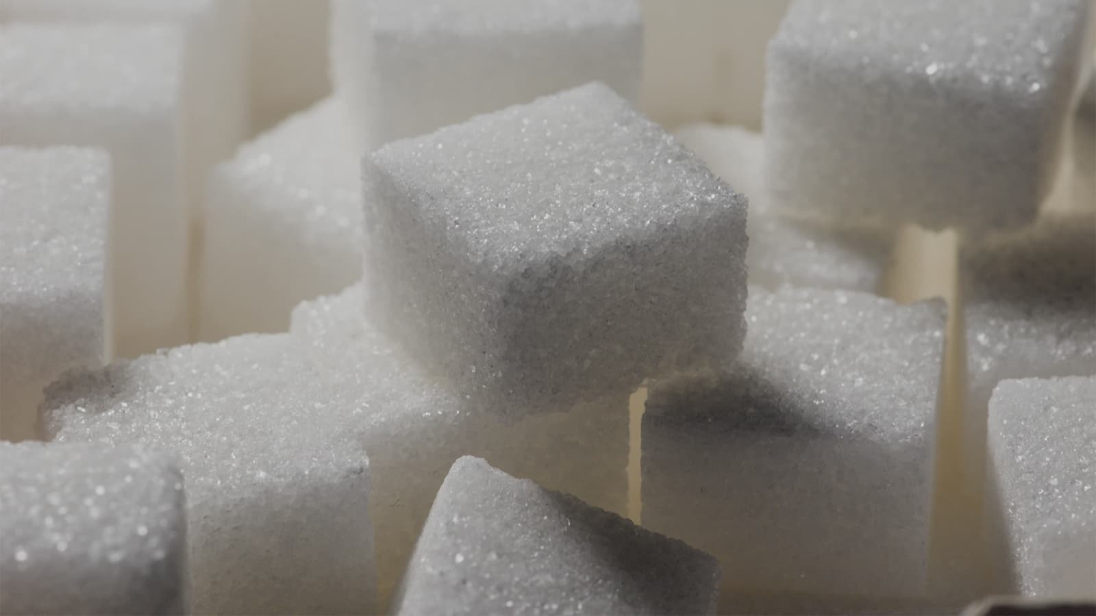 Proteinriegel Wie gesund sind sie wirklich?