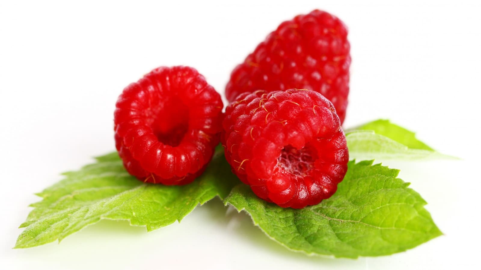 Wie gesund sind Himbeeren? Warum sollten Himbeeren ein fester Bestandteil deiner Ernährung sein?