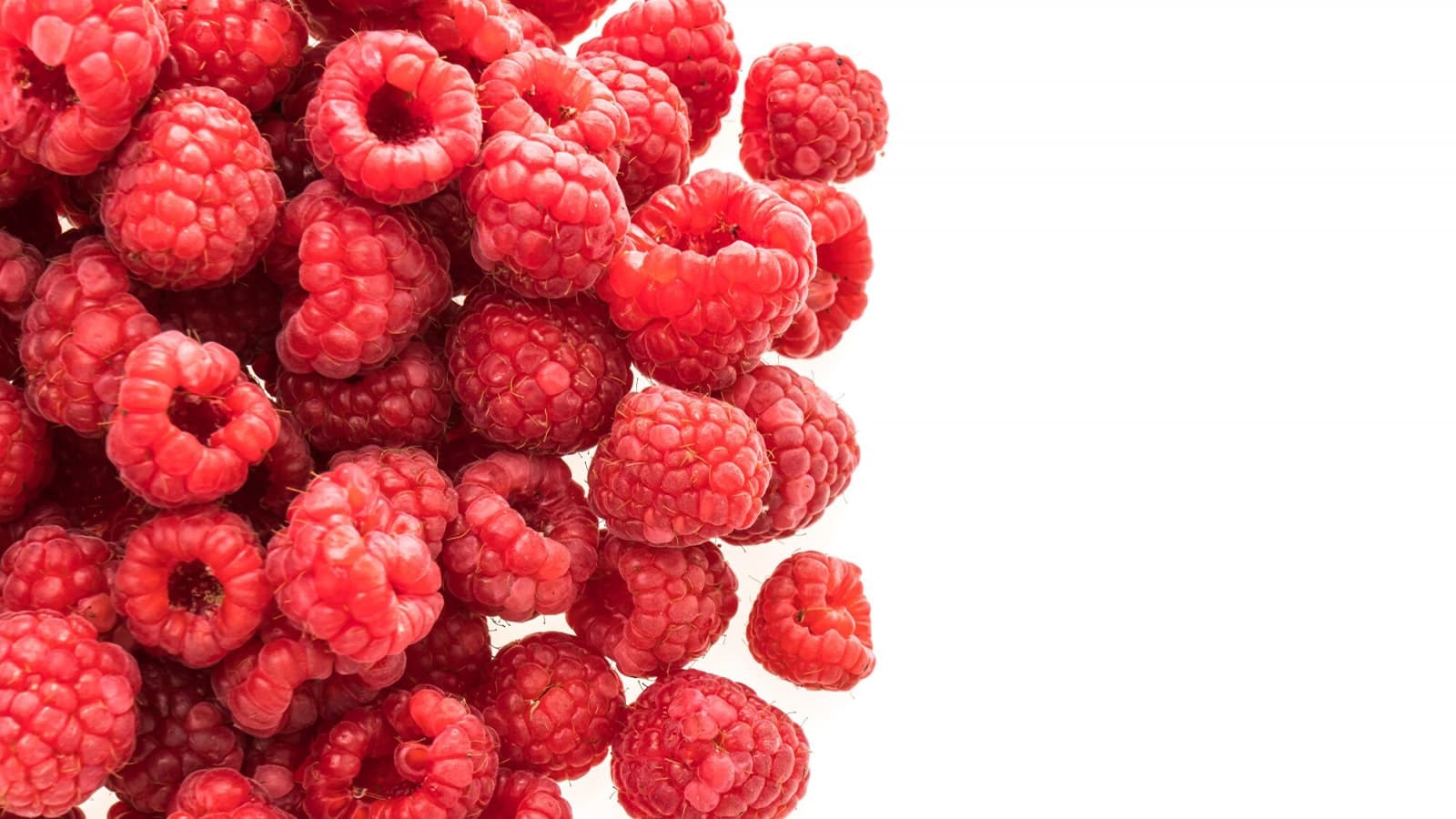 Wie gesund sind Himbeeren? Warum sollten Himbeeren ein fester Bestandteil deiner Ernährung sein?