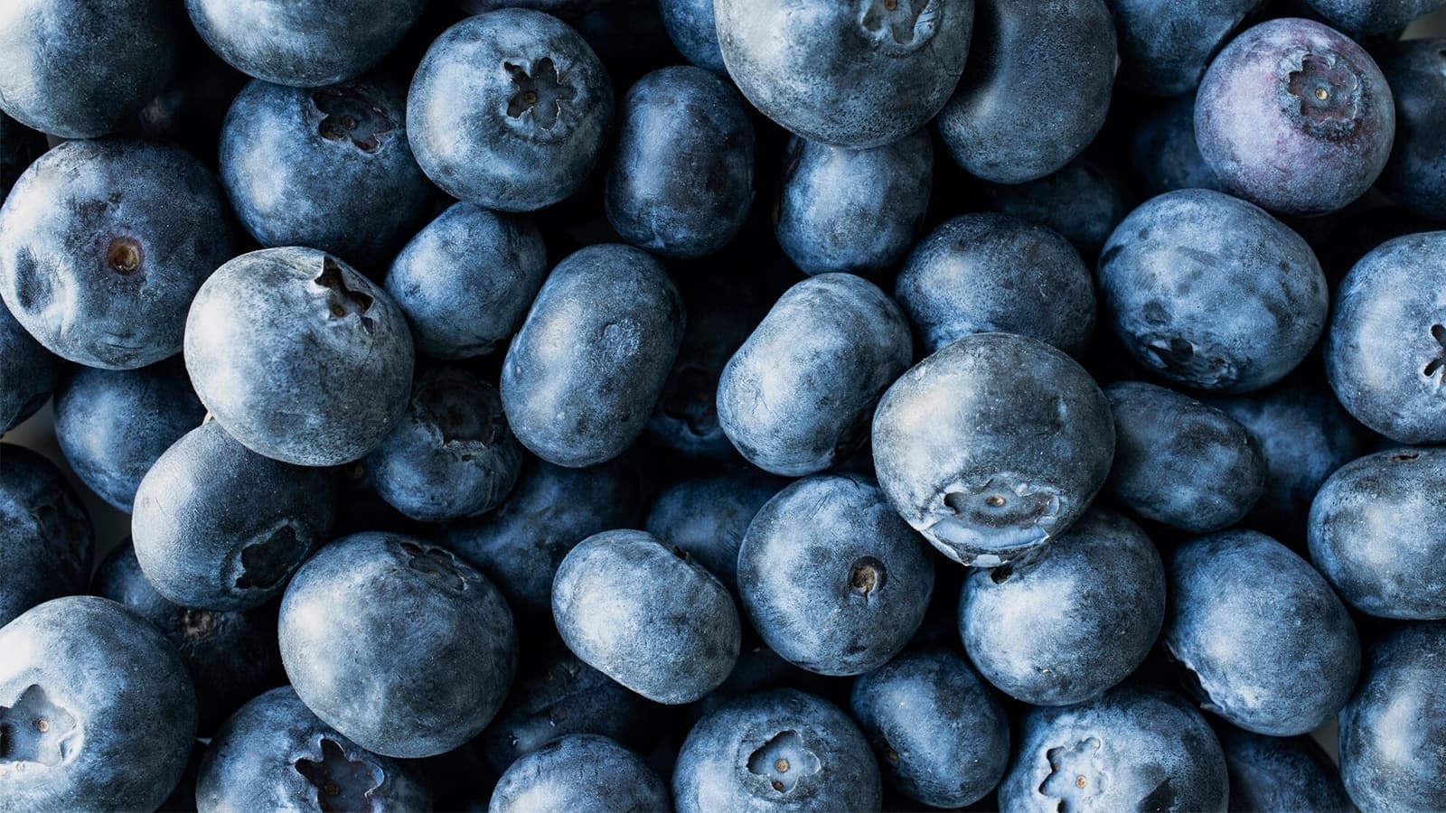 Heidelbeeren
