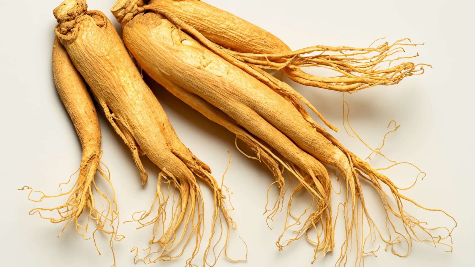 Ginseng ist also ein vielversprechendes und natürliches Mittel zur Förderung des allgemeinen Wohlbefindens. Zudem gibt es zahlreiche Möglichkeiten, Ginseng in die tägliche Ernährung zu integrieren.