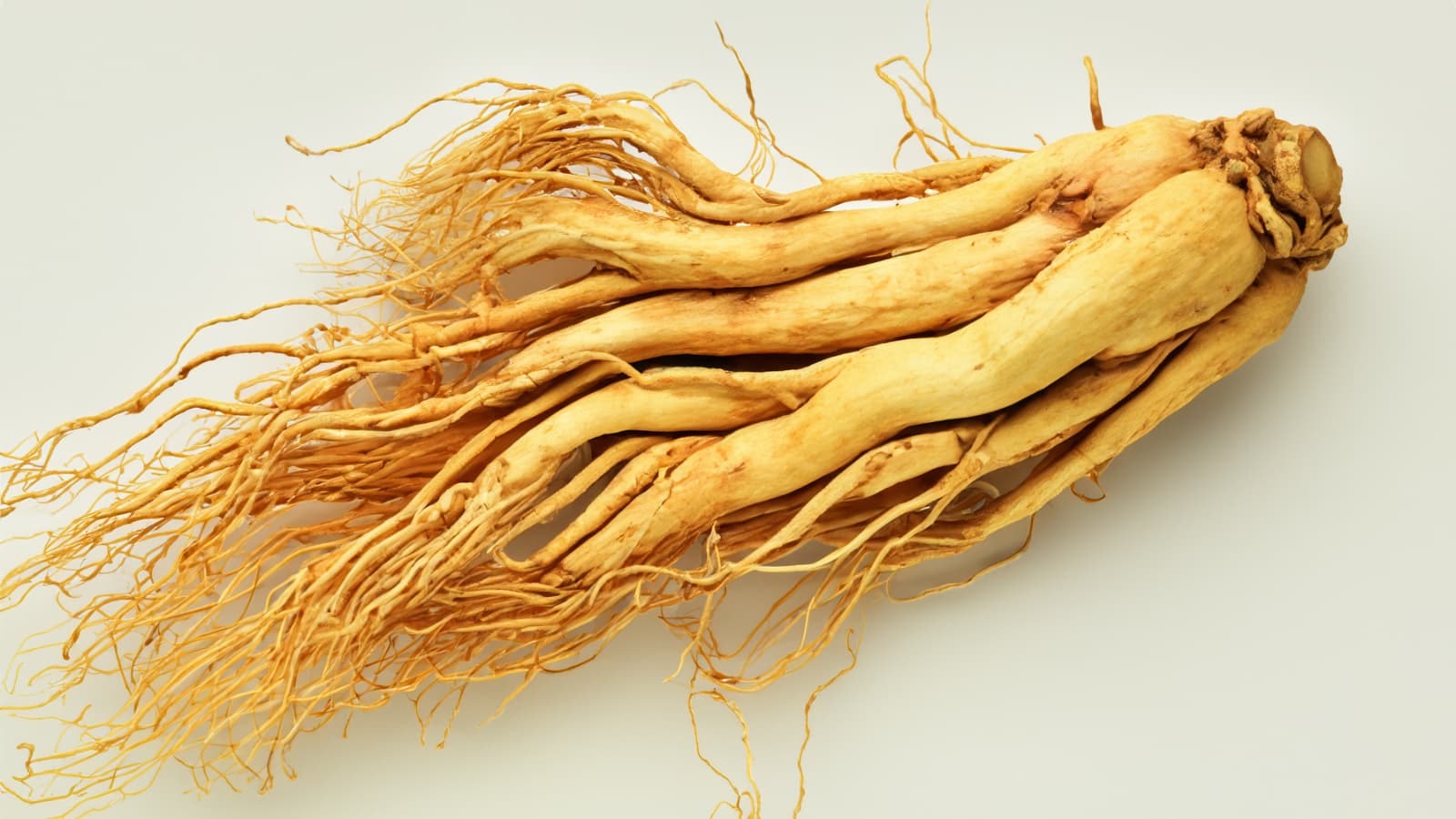 Ginseng ist also ein vielversprechendes und natürliches Mittel zur Förderung des allgemeinen Wohlbefindens. Zudem gibt es zahlreiche Möglichkeiten, Ginseng in die tägliche Ernährung zu integrieren.