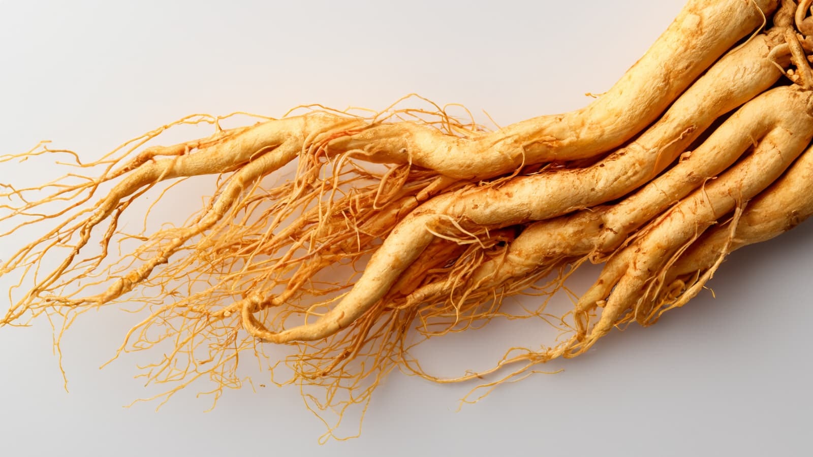 Ginseng ist also ein vielversprechendes und natürliches Mittel zur Förderung des allgemeinen Wohlbefindens. Zudem gibt es zahlreiche Möglichkeiten, Ginseng in die tägliche Ernährung zu integrieren.