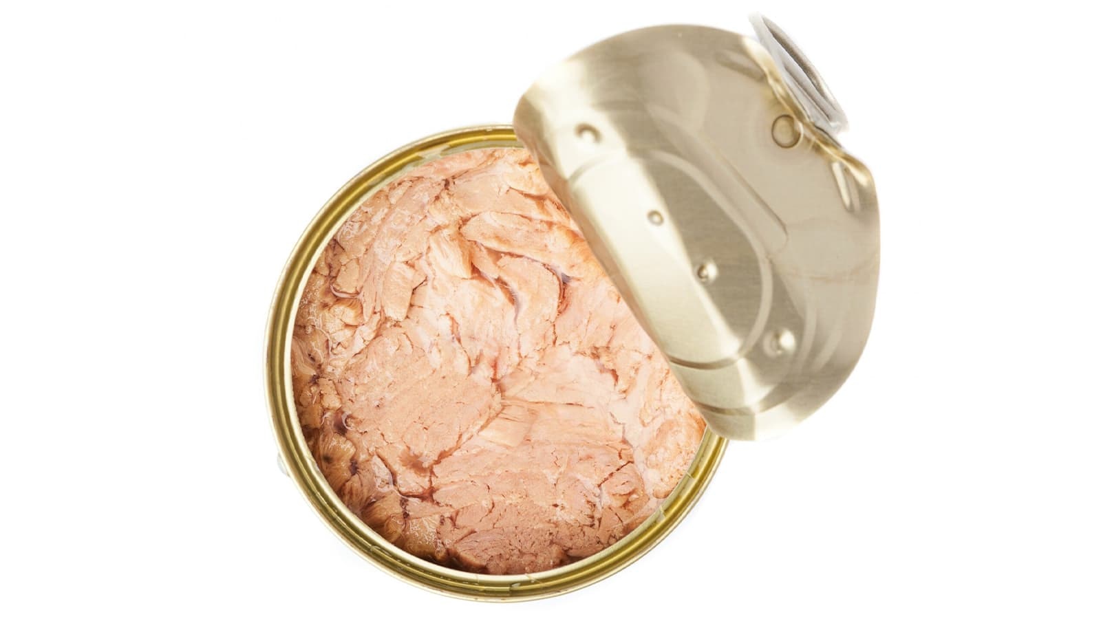 Wie viel Eiweiß hat Thunfisch aus der Dose?