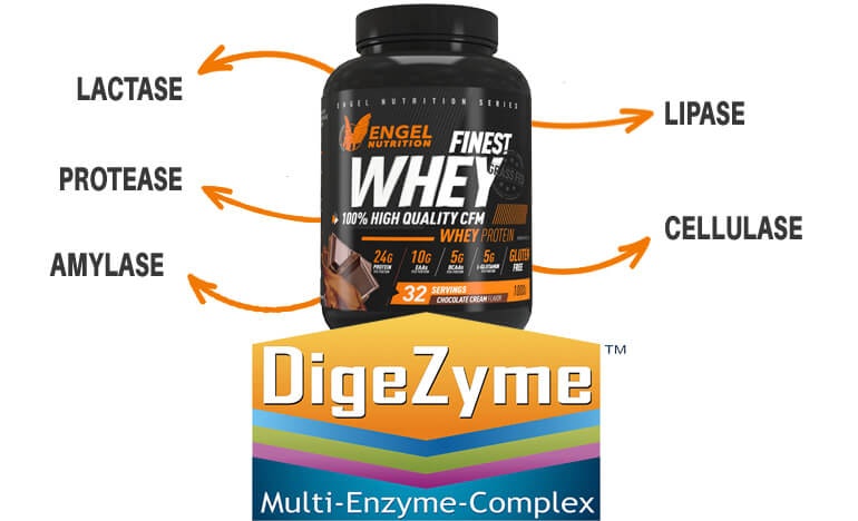 Eine Grafik, welche die Inhaltsstoffe einer Dose Whey Protein von Engel zeigt.